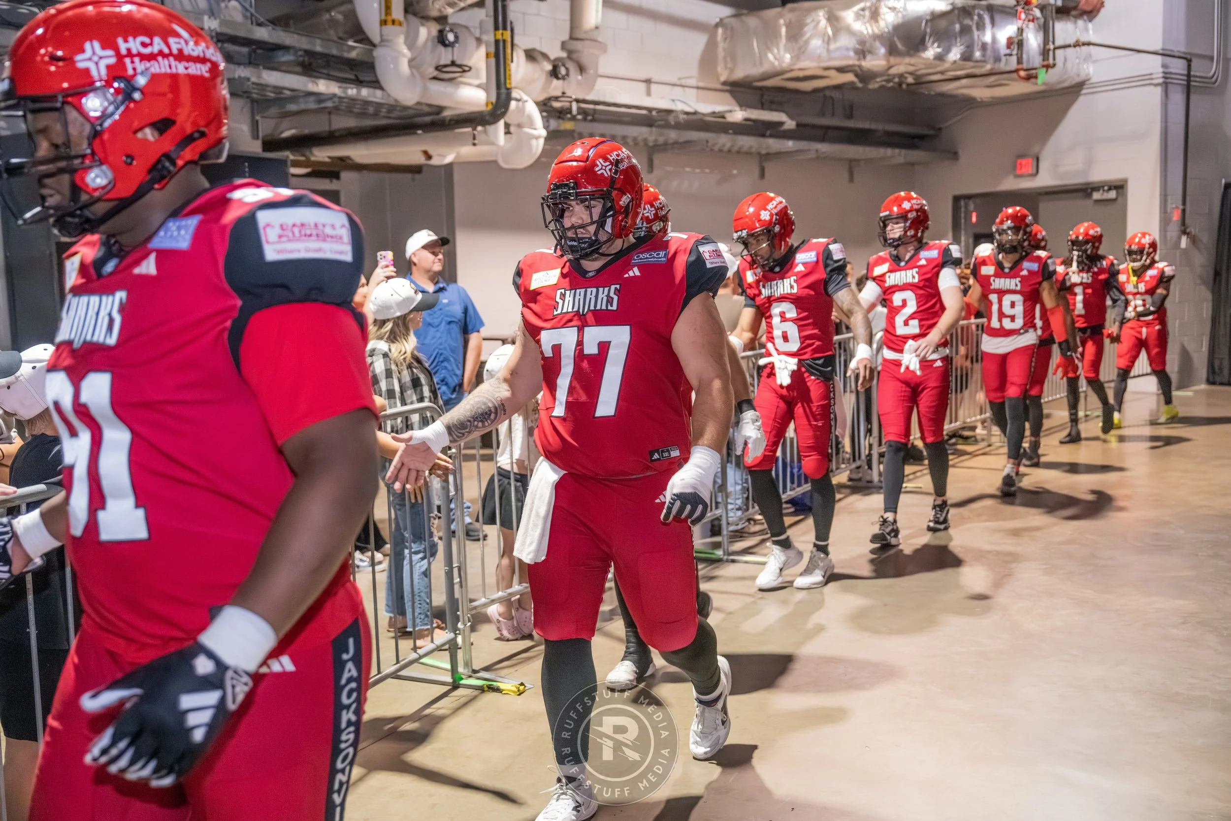 Sharks 260417-28_resize.JPG