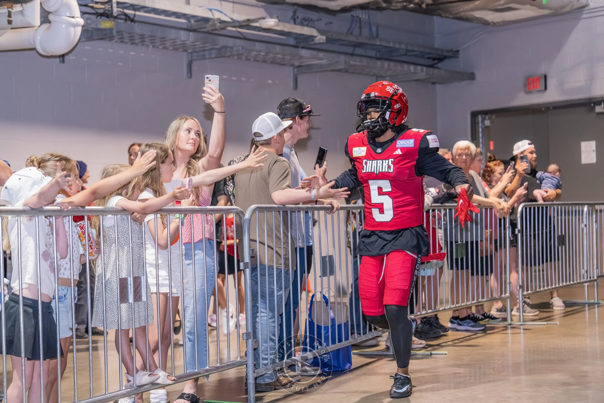 Sharks 260417-37_resize.JPG