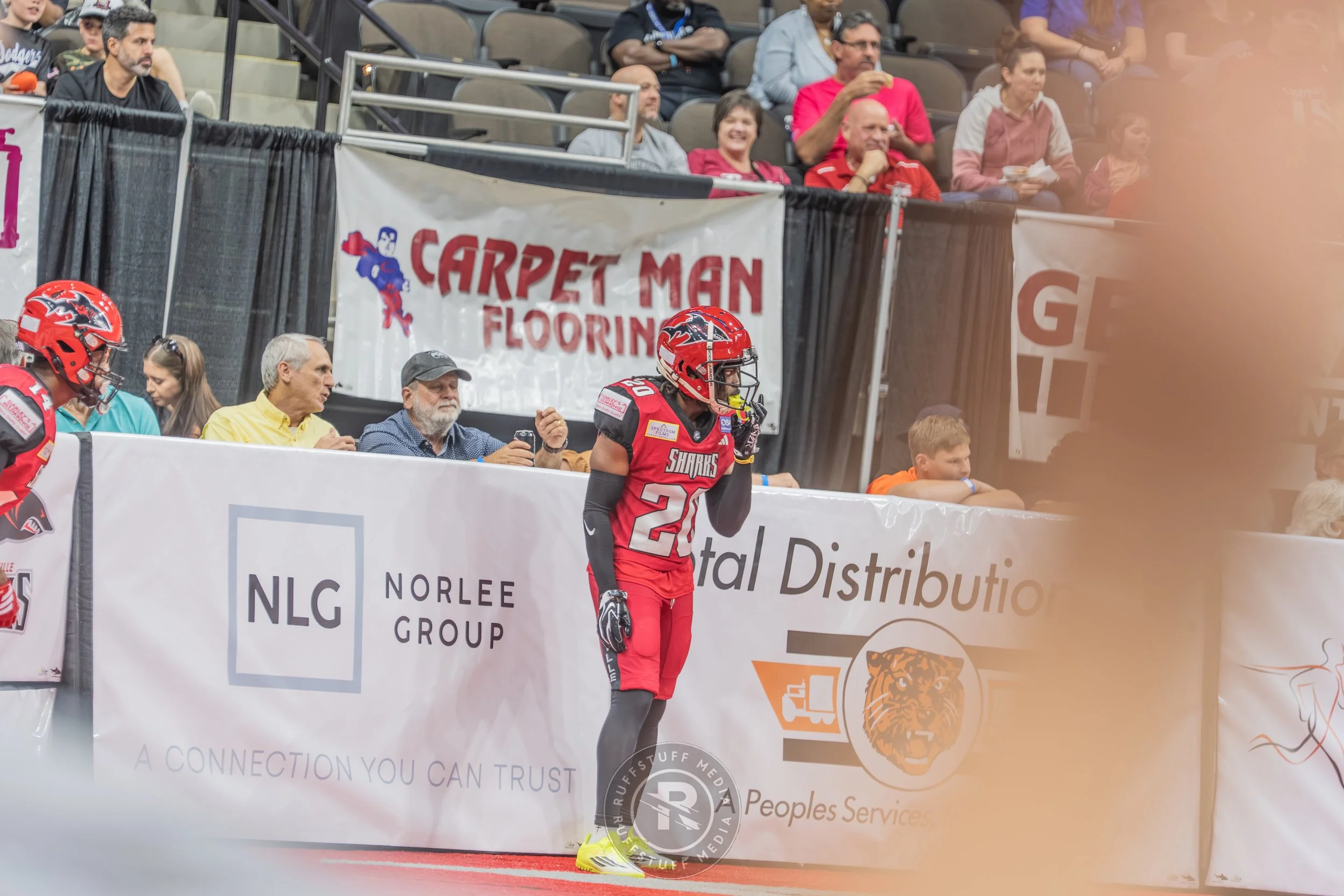 Sharks 260417-176.JPG