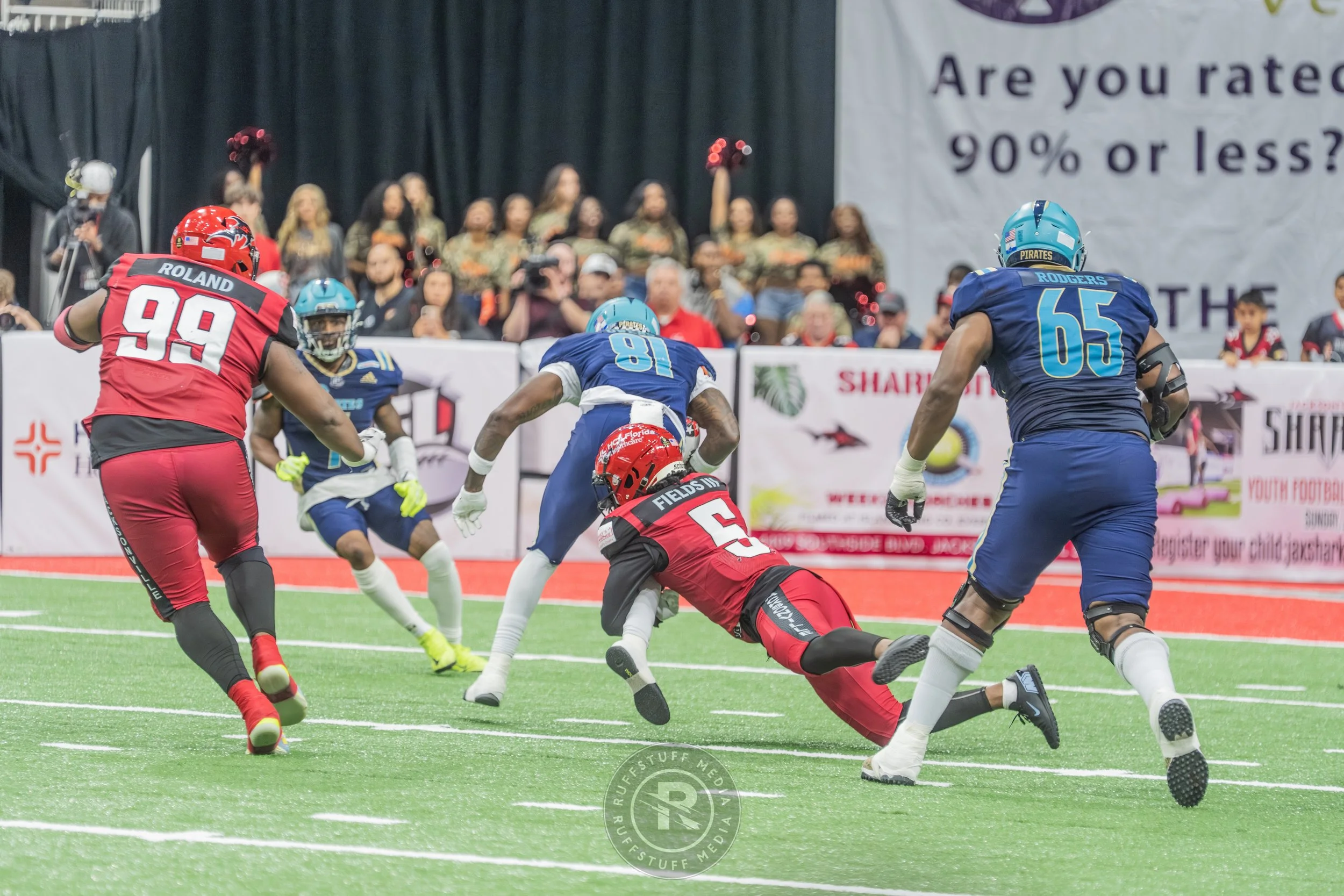 Sharks 260417-403_resize.JPG