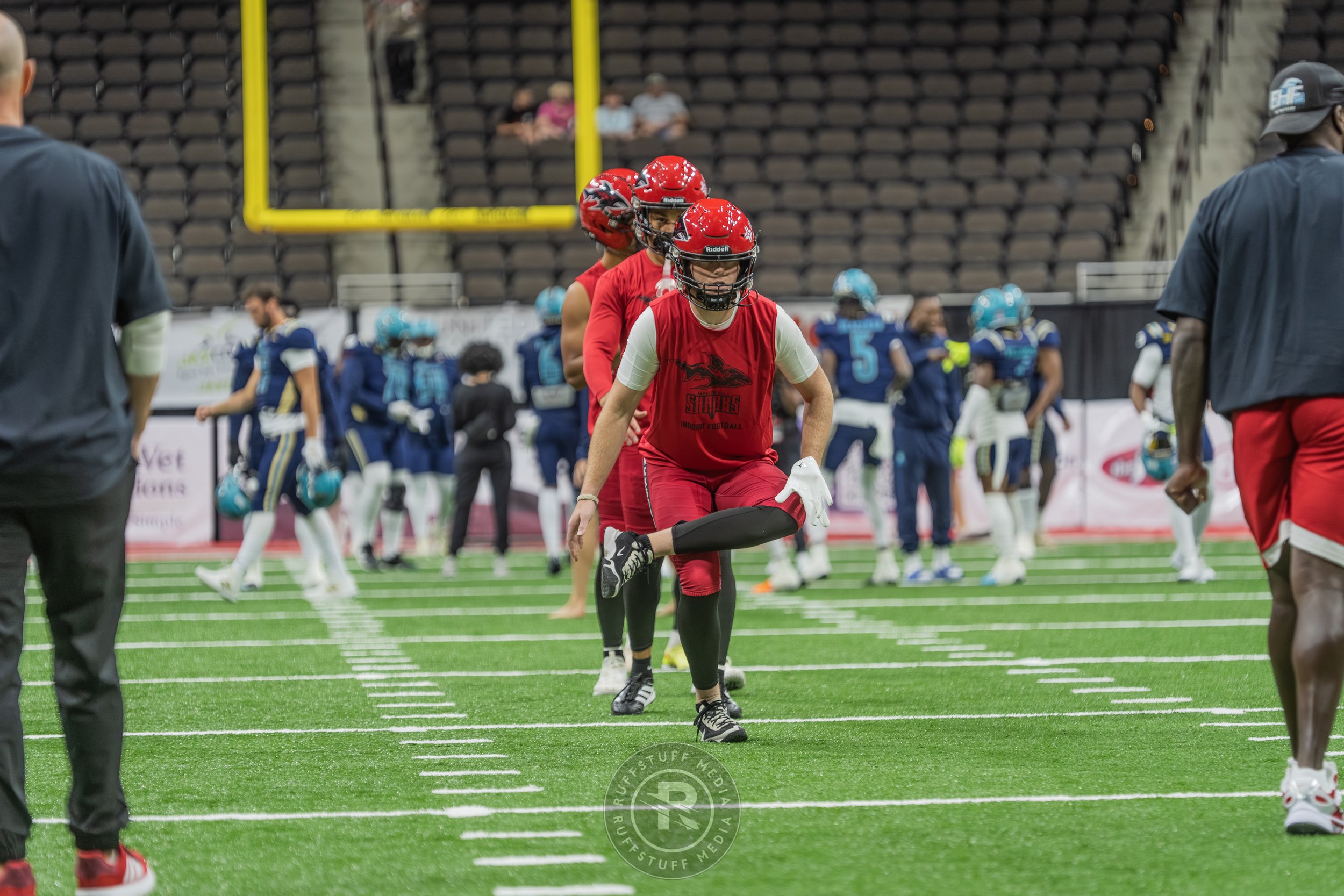 Sharks 260417-62.JPG