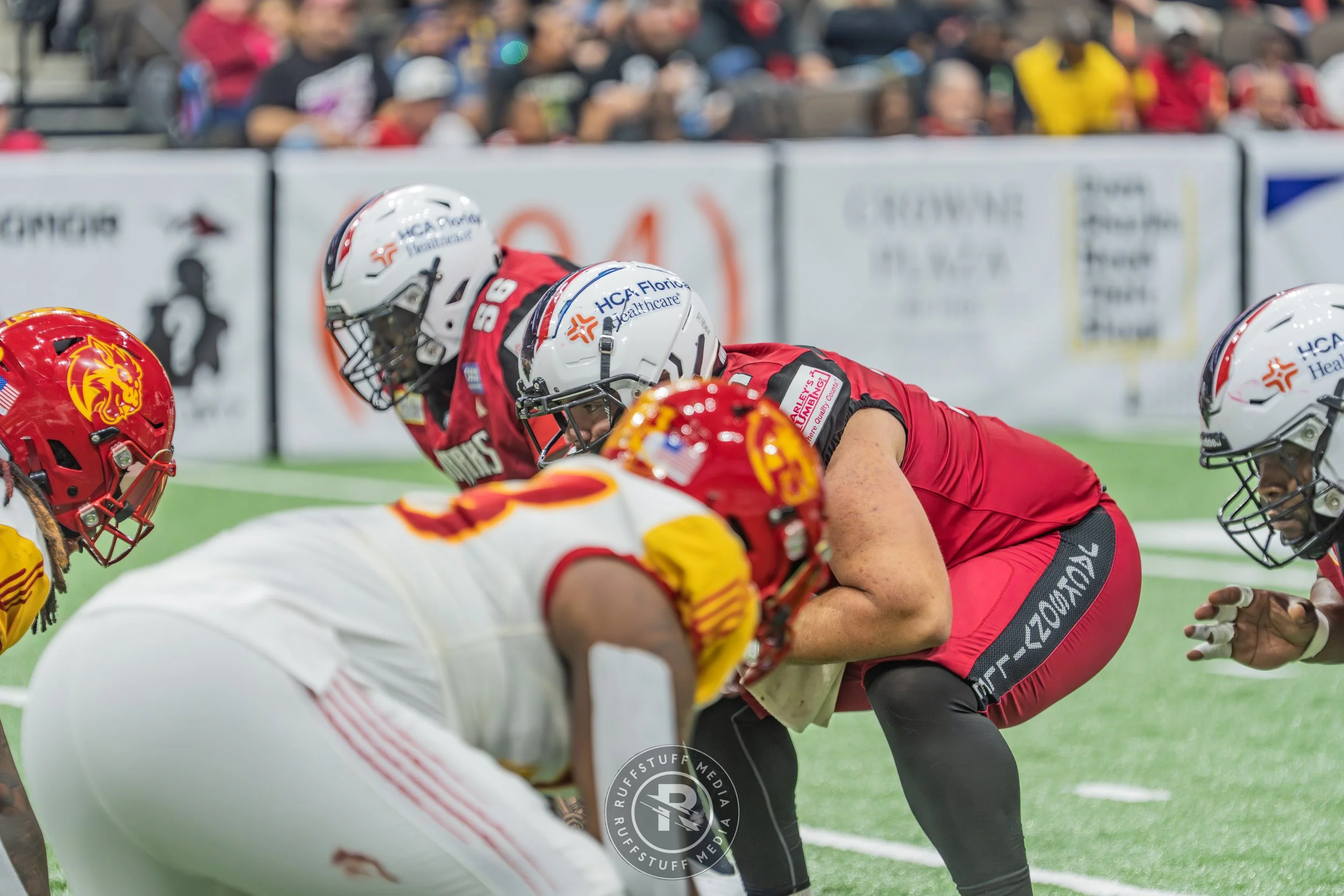 Sharks 260502-224.JPG