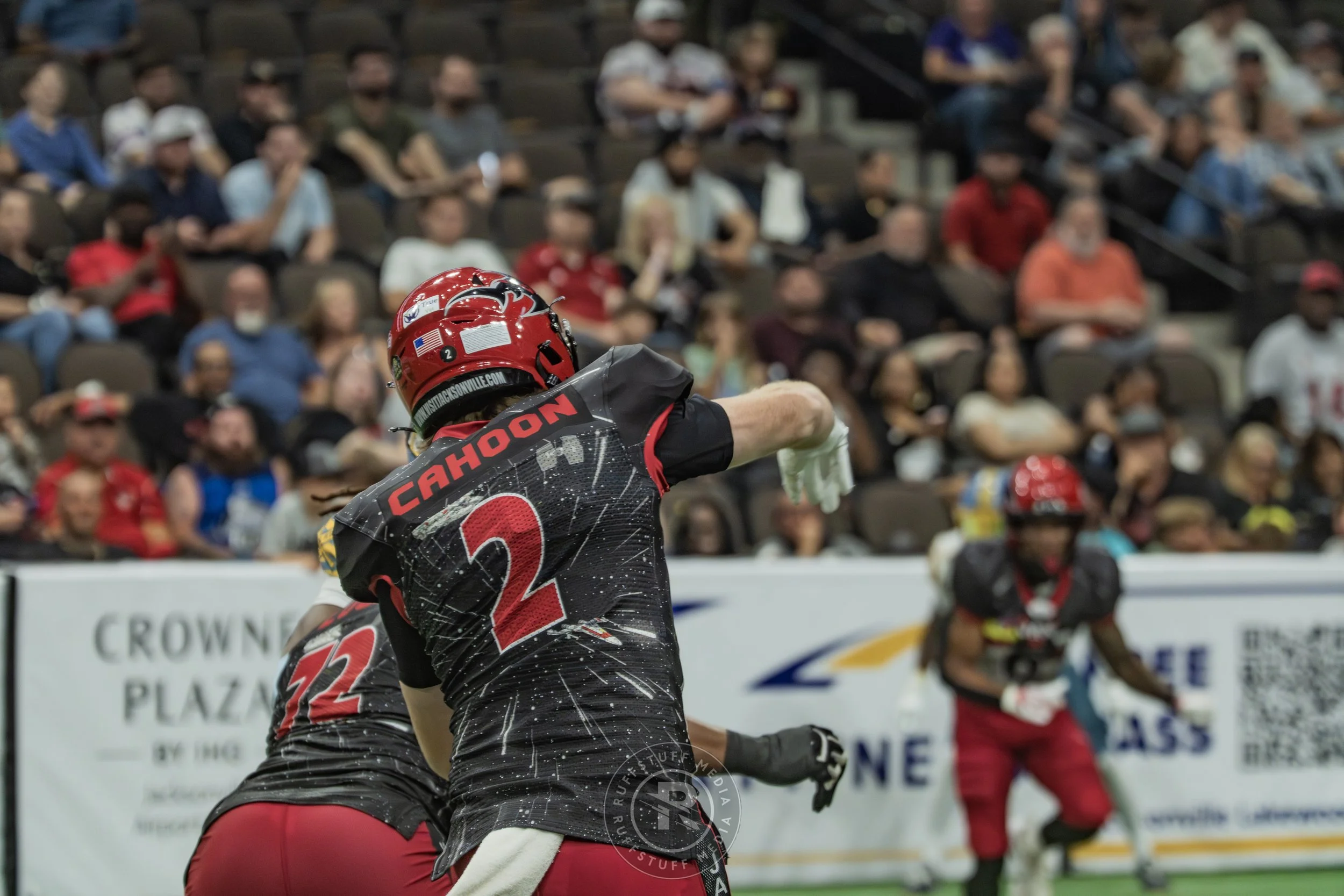 Sharks 260530-595.JPG
