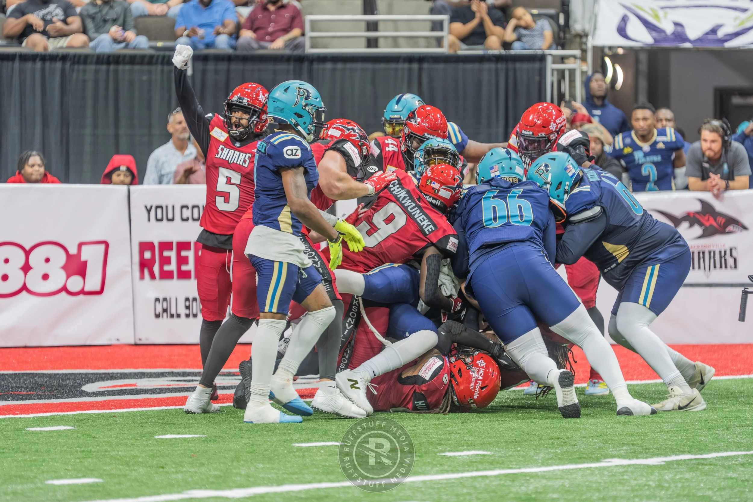 Sharks 260417-247.JPG