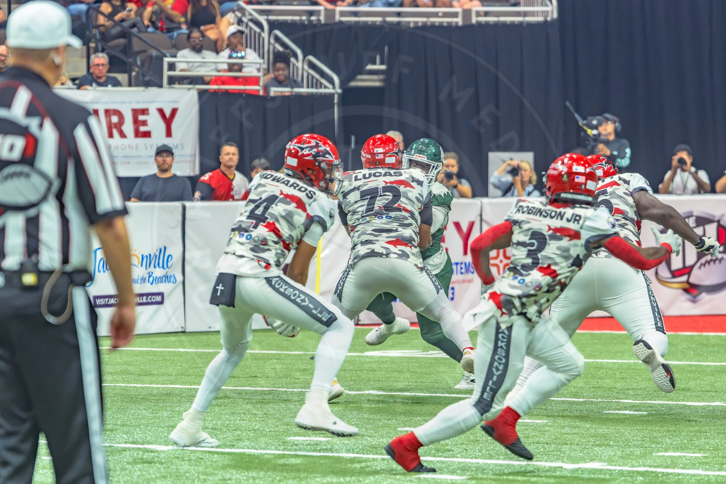 Sharks 260726-120.JPG