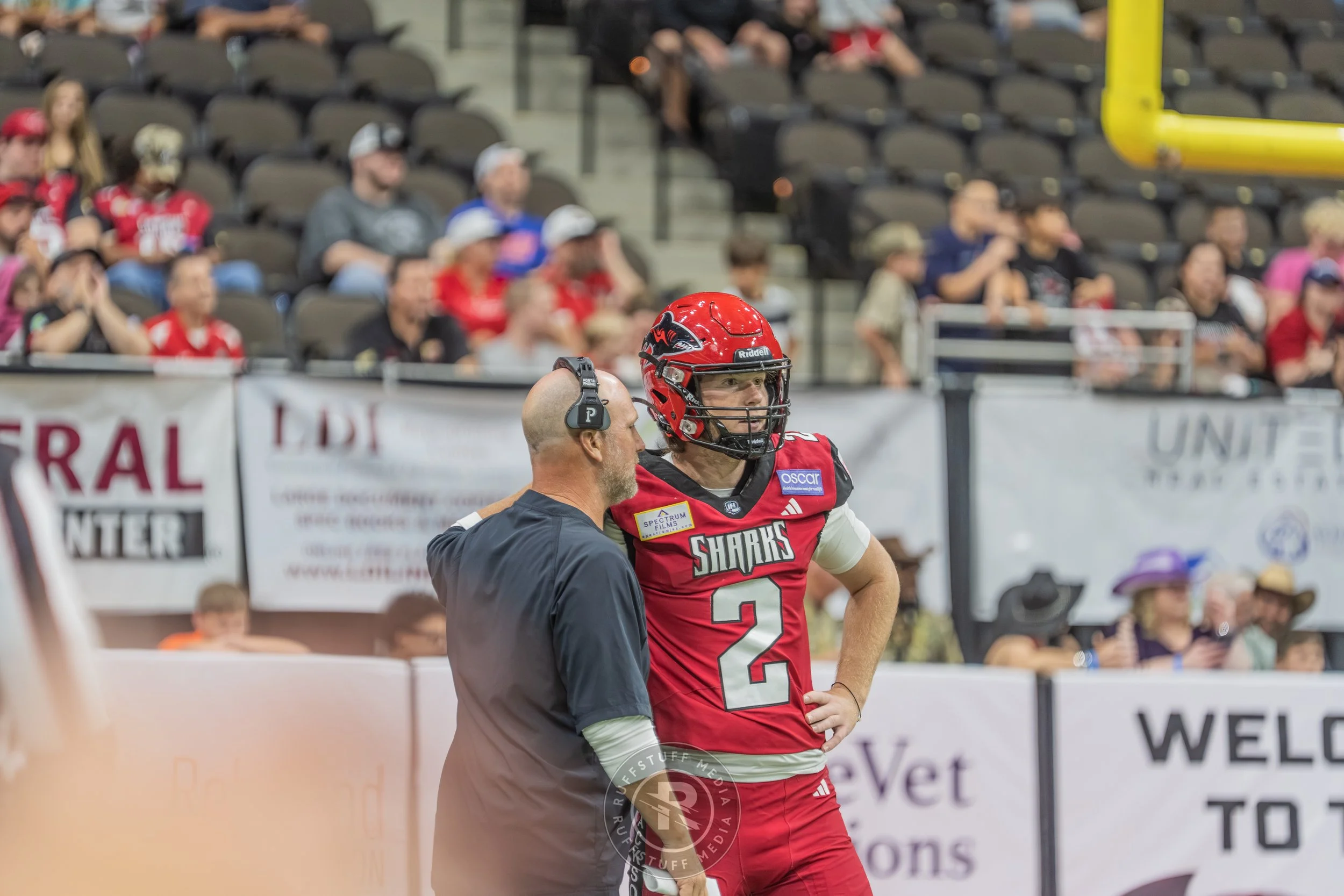 Sharks 260417-469.JPG