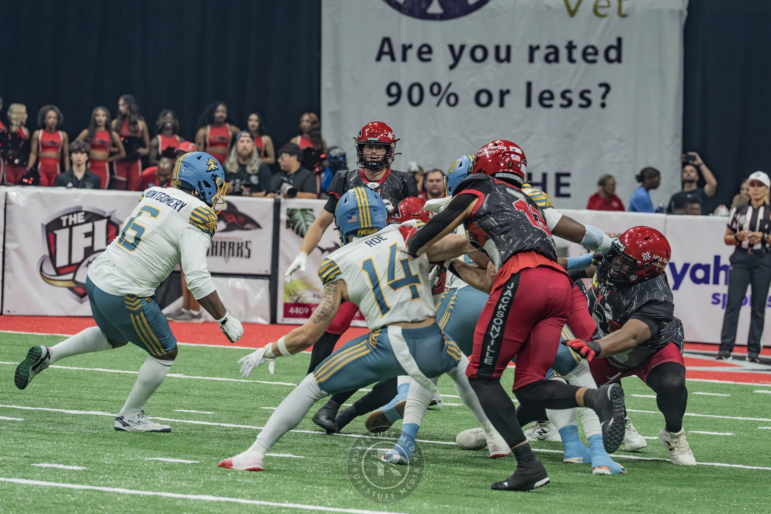 Sharks 260530-179.JPG
