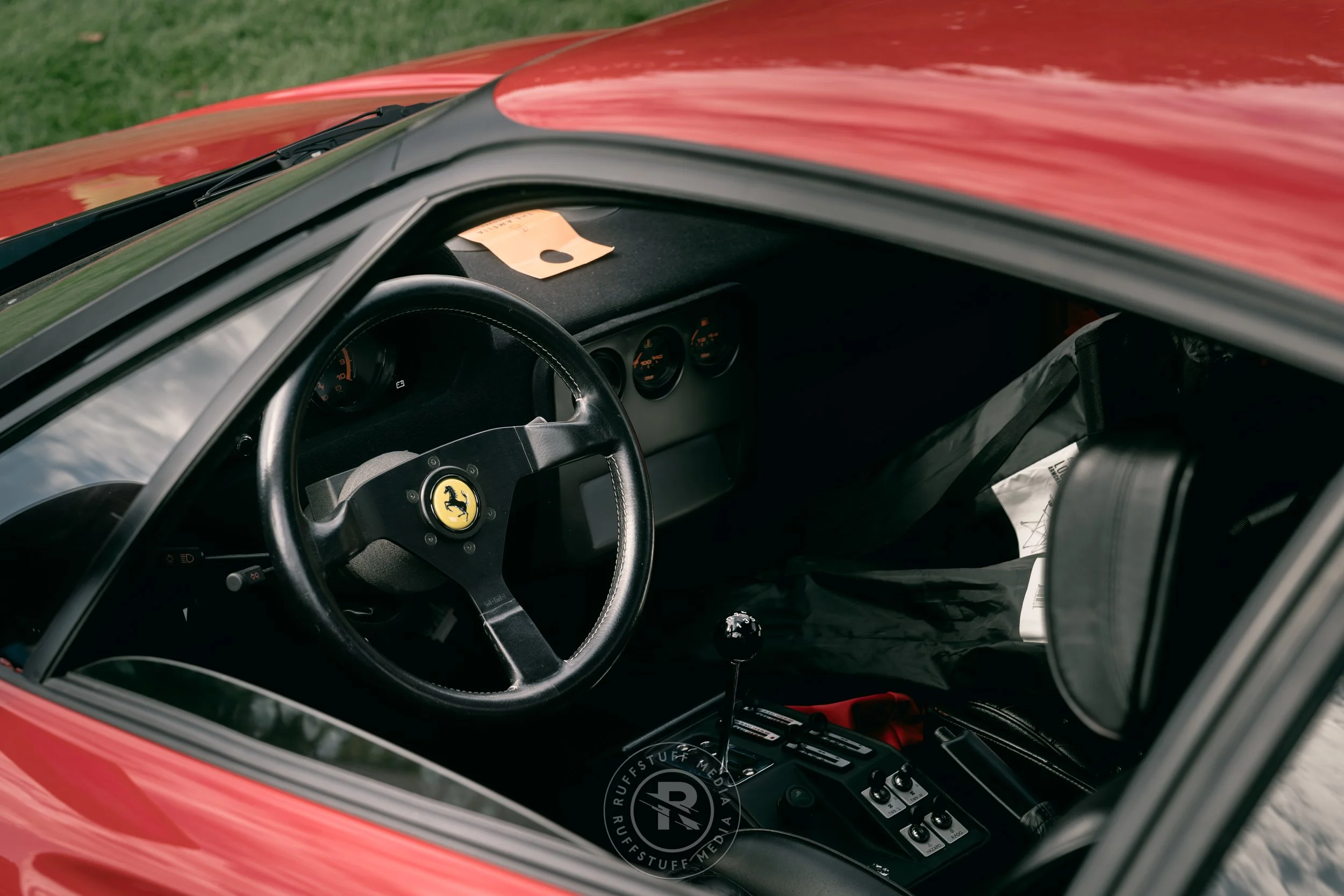 Amelia 260306-67.JPG