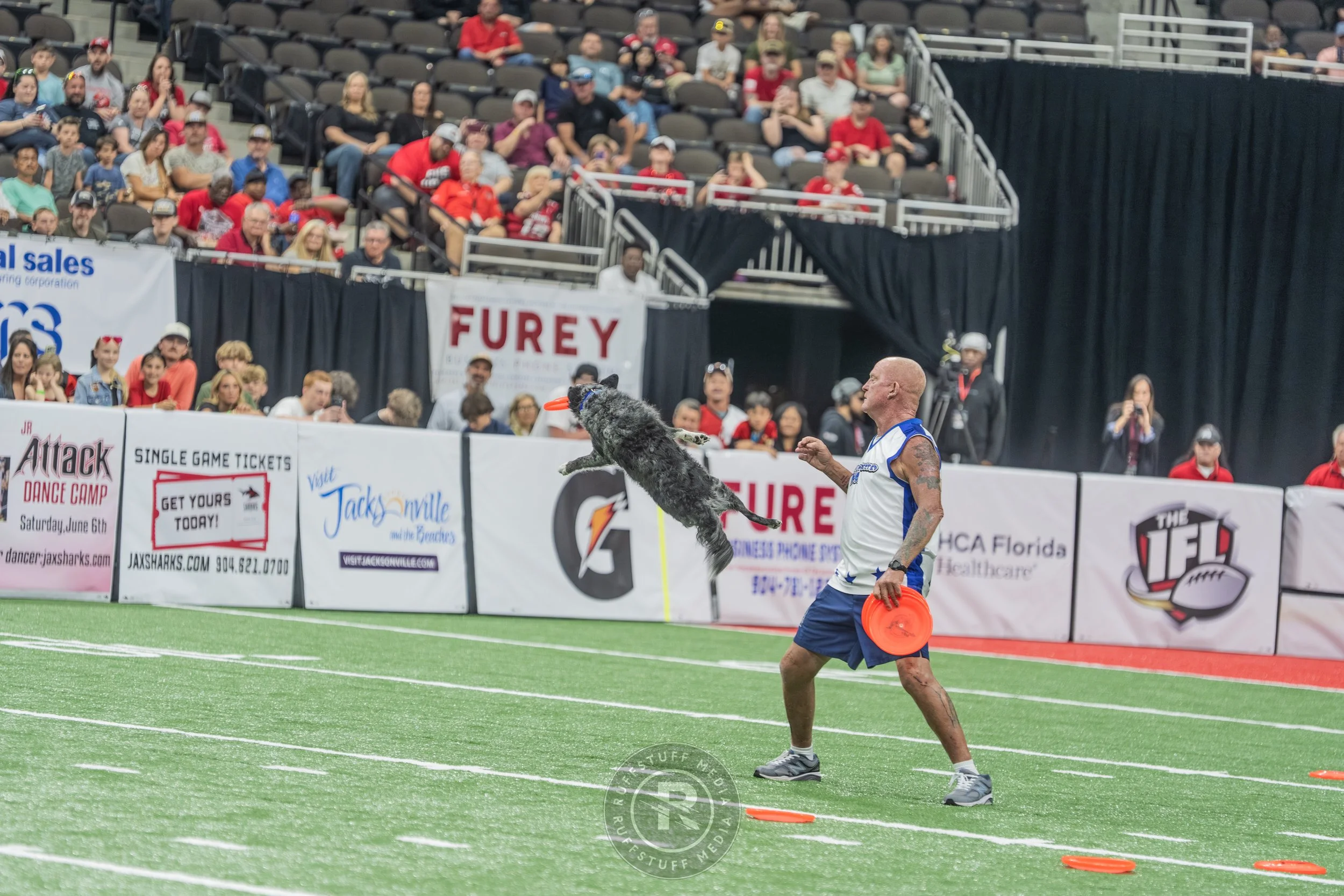 Sharks 260417-290.JPG