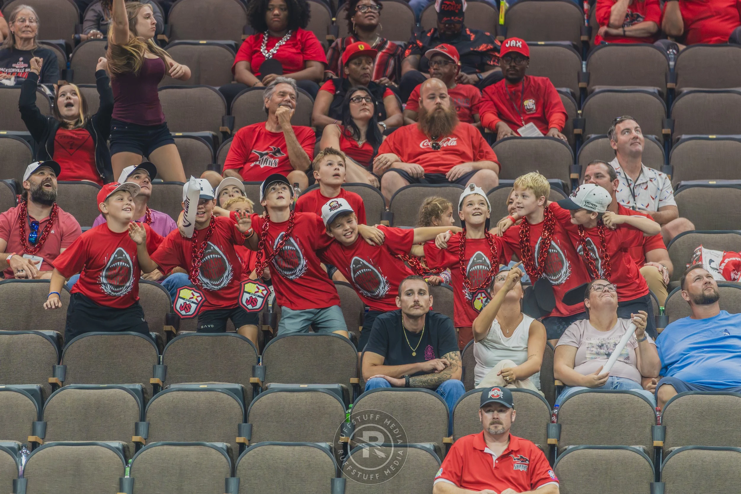 Sharks 260628-629.JPG