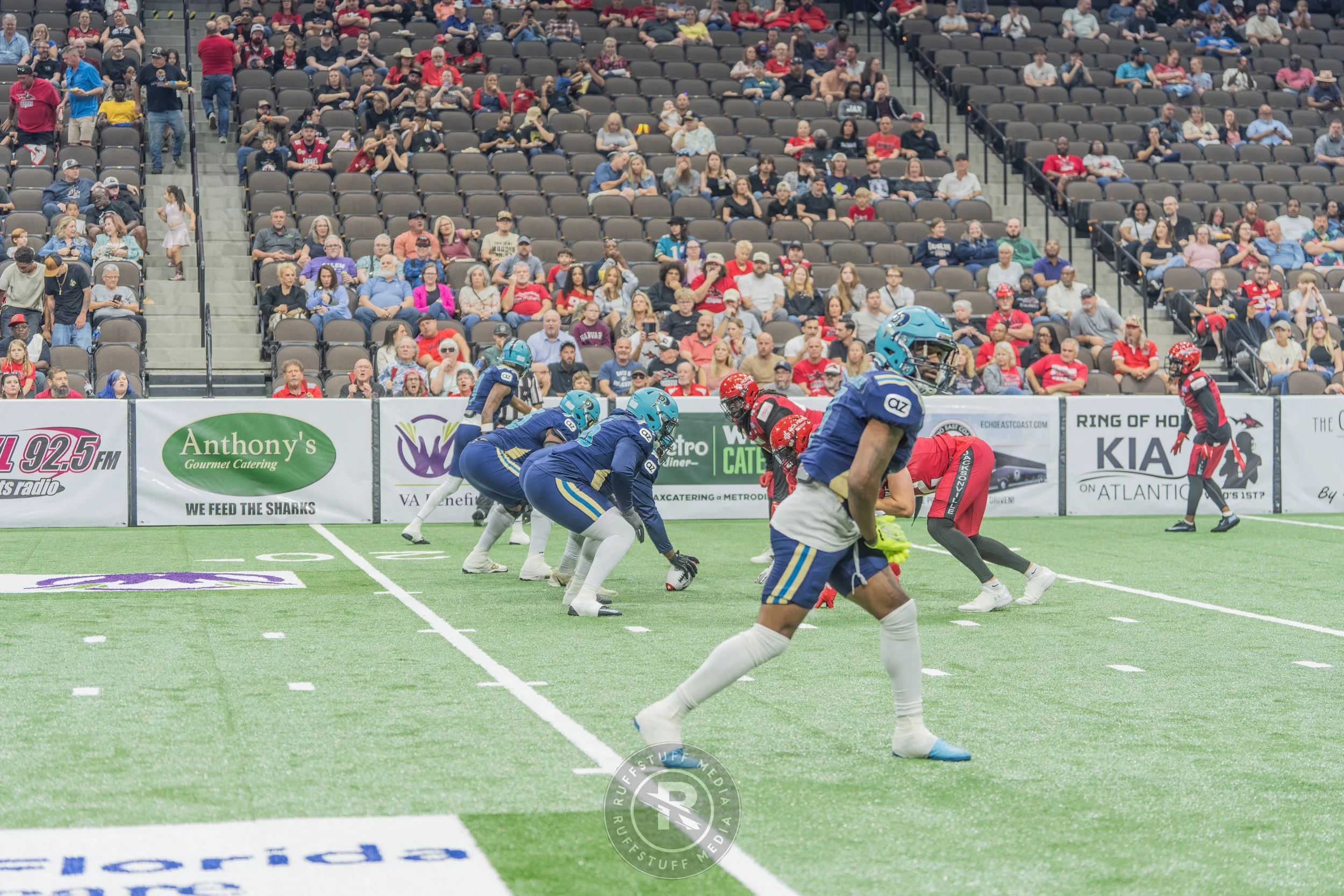 Sharks 260417-125_resize.JPG