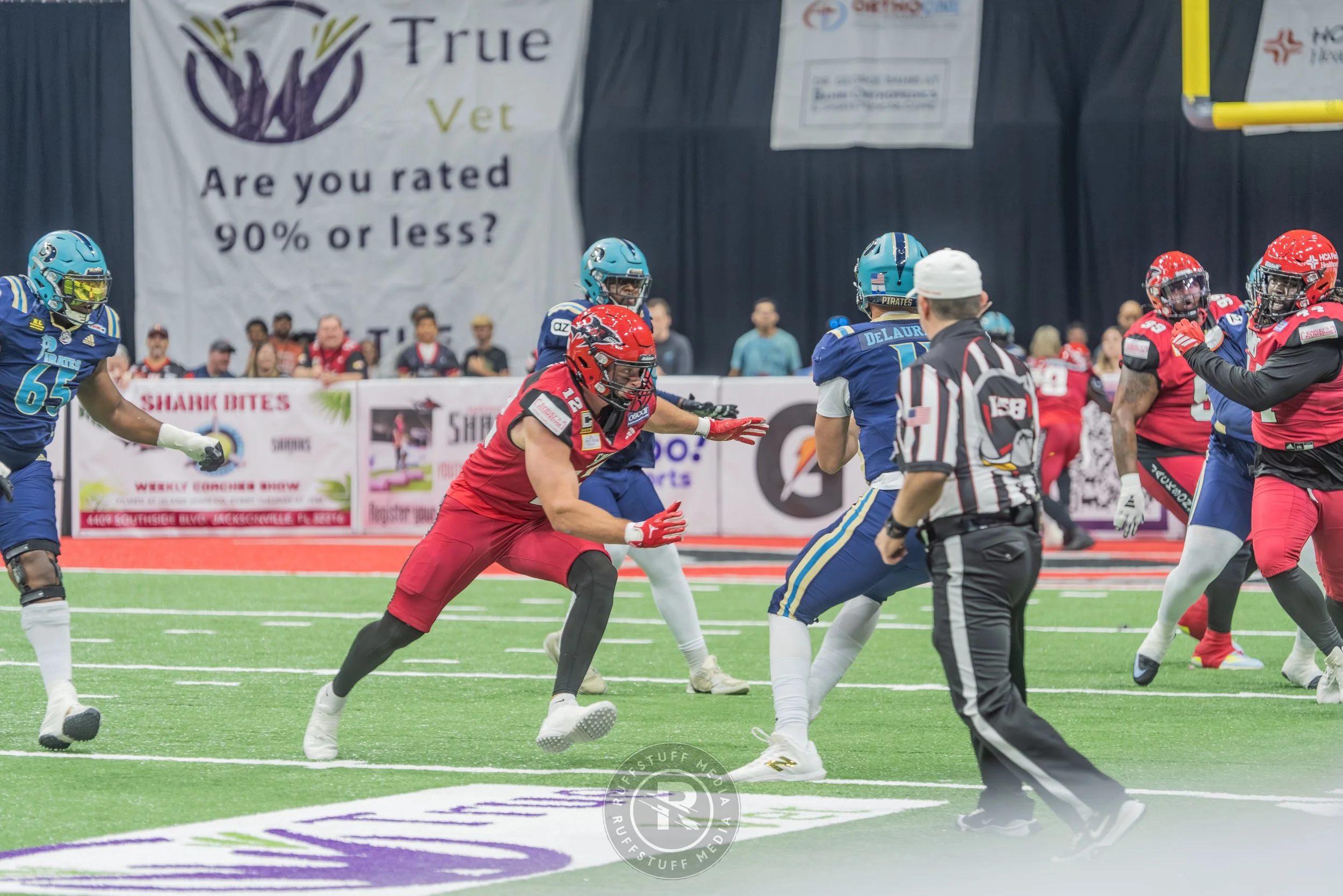 Sharks 260417-138.JPG