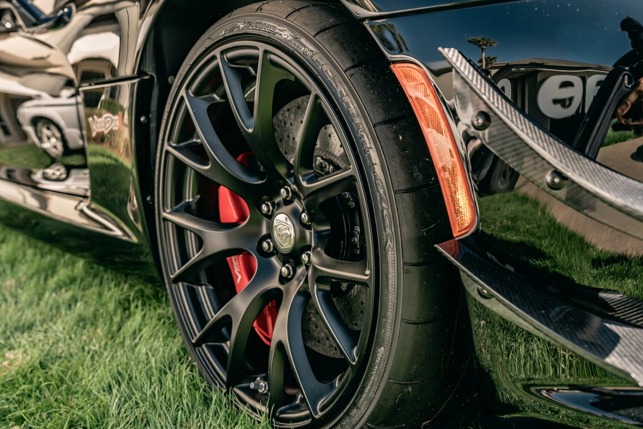 IG-Amelia 260305-20.JPG