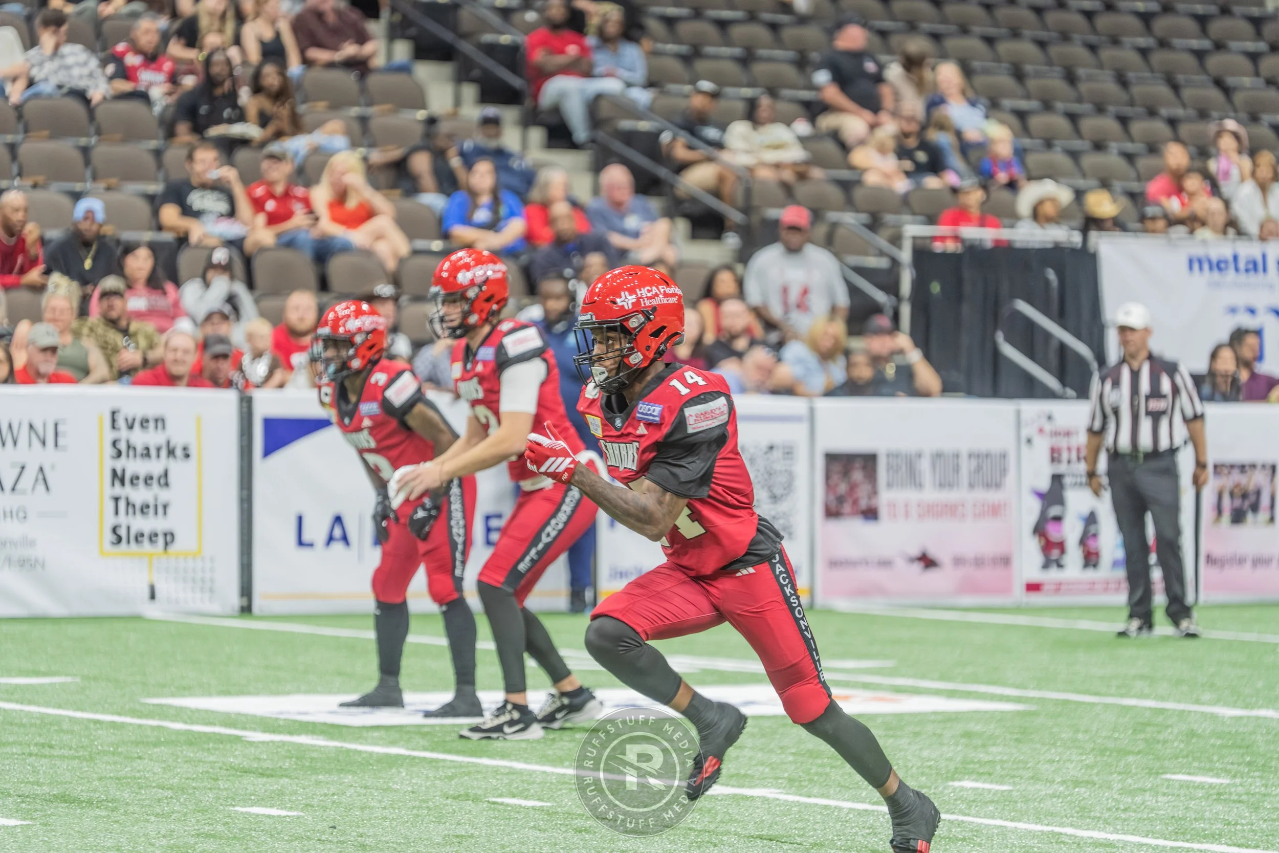 Sharks 260417-430.JPG