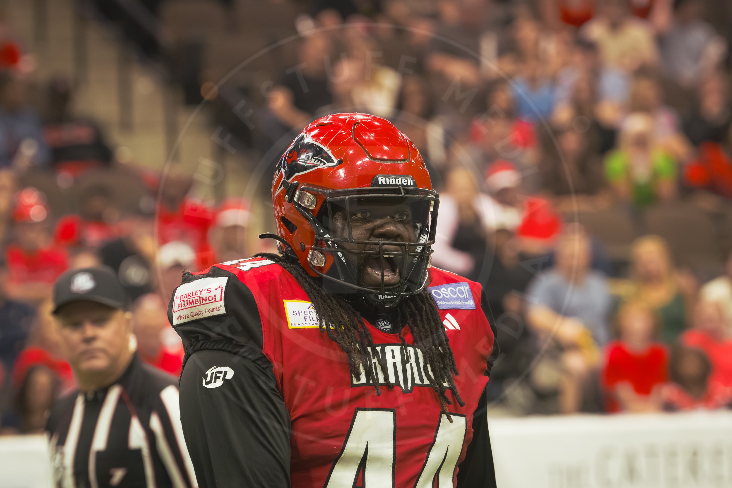 Sharks 260801-131.JPG