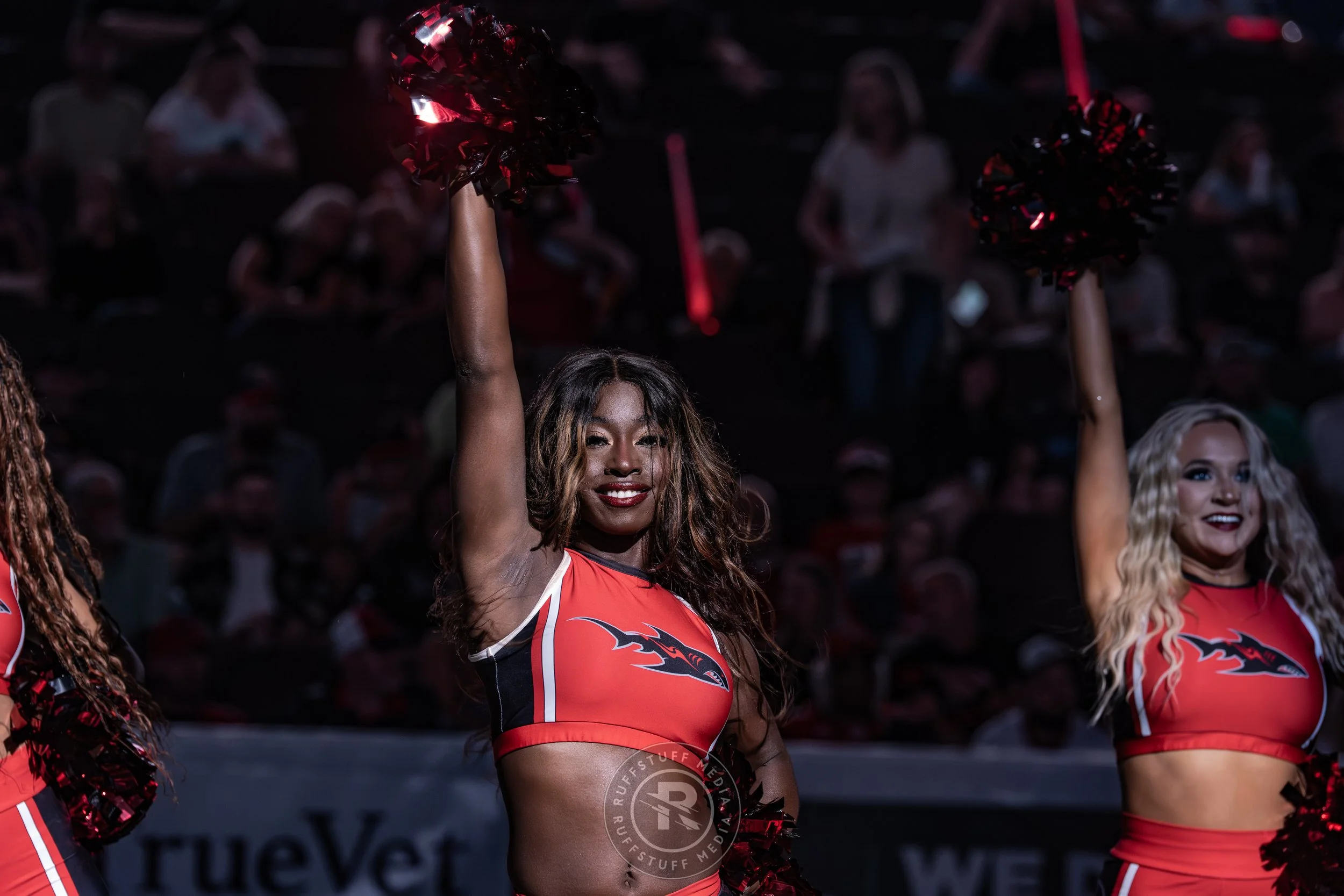 Sharks 260530-67.JPG