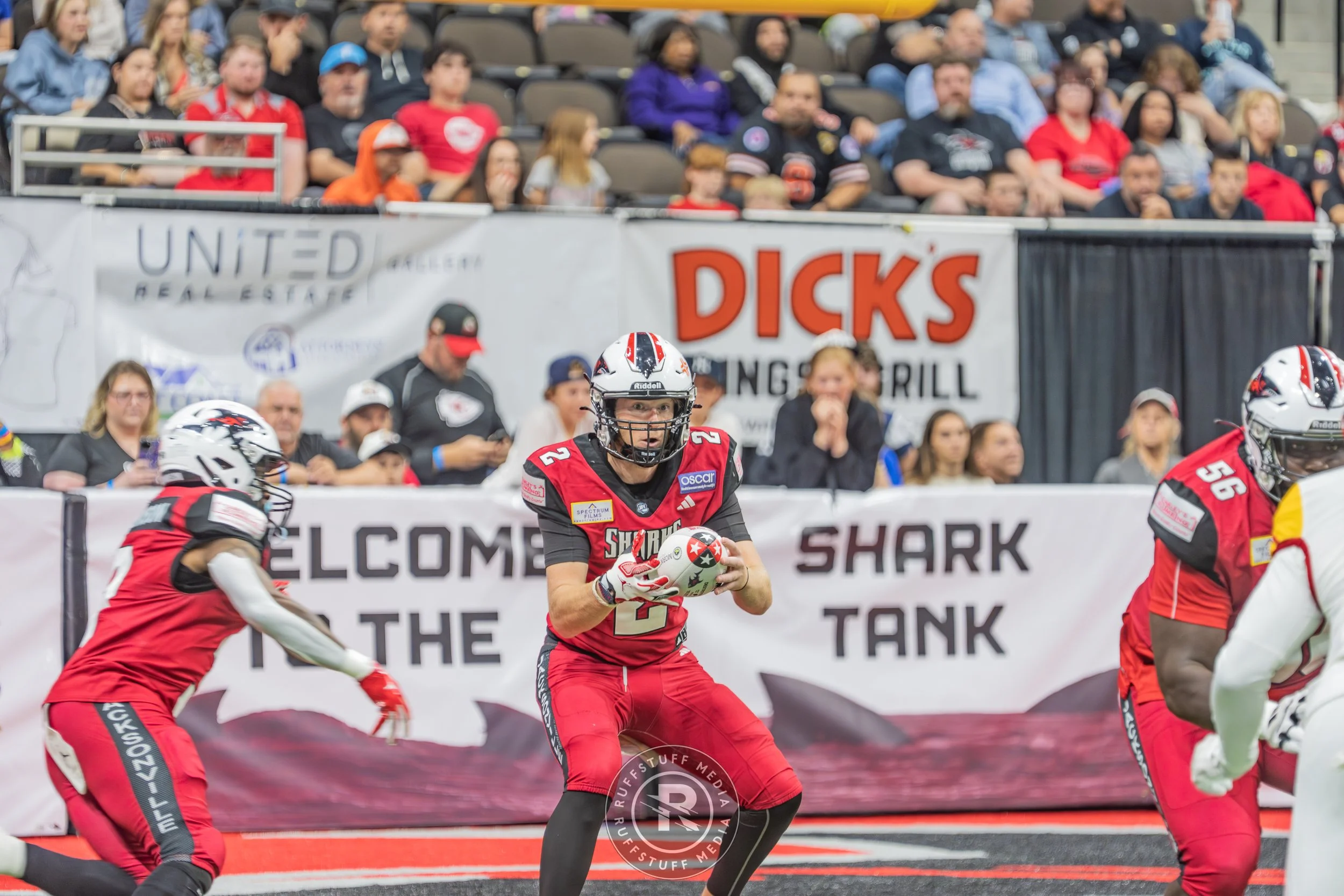 Sharks 260502-321.JPG
