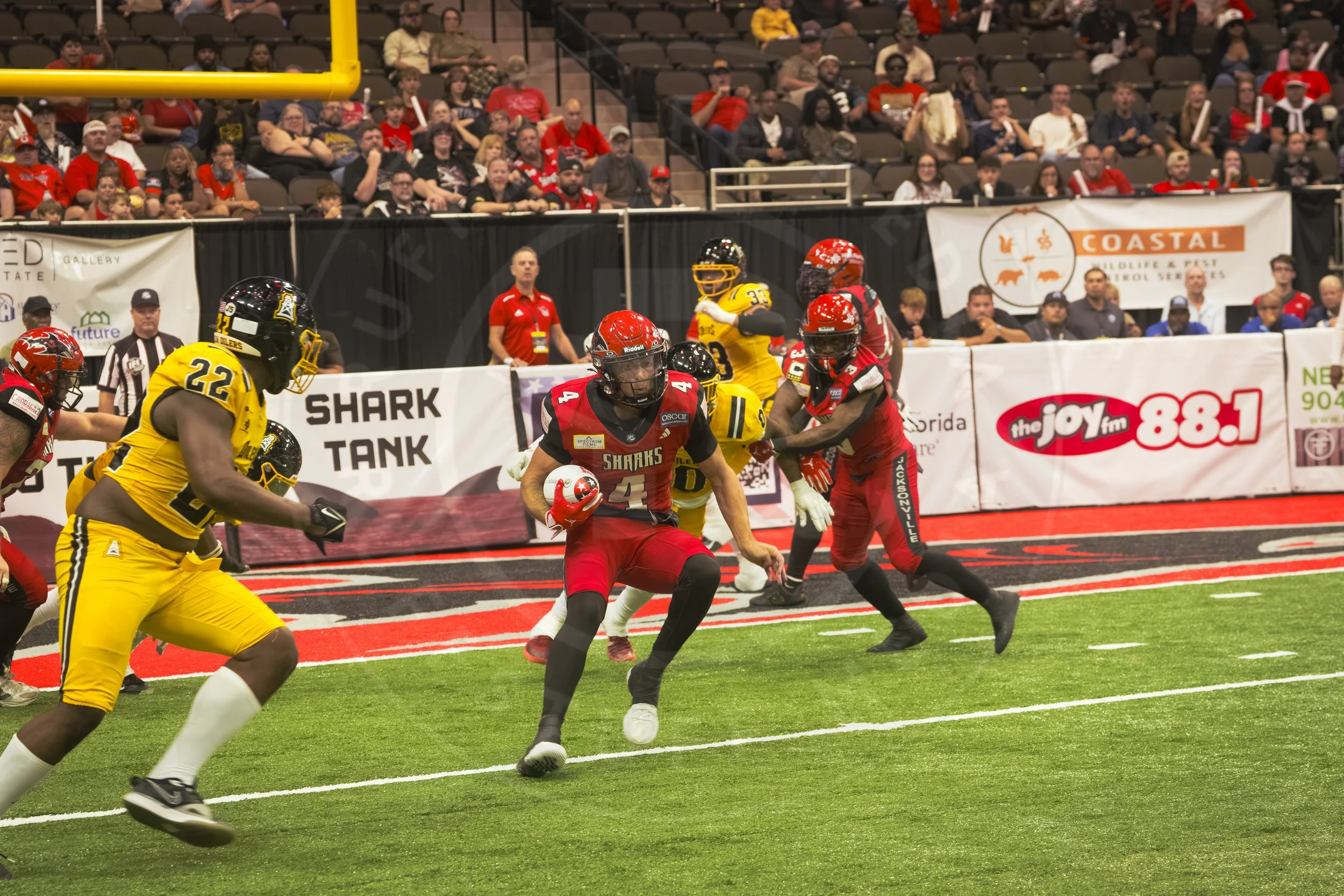 Sharks 260801-141.JPG