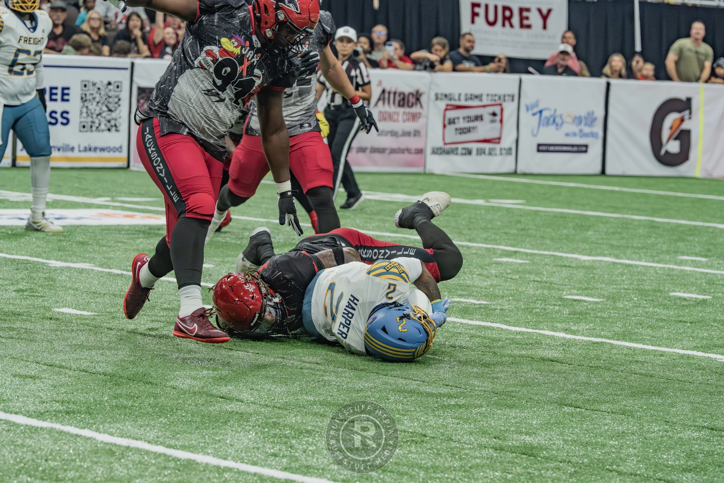 Sharks 260530-280.JPG