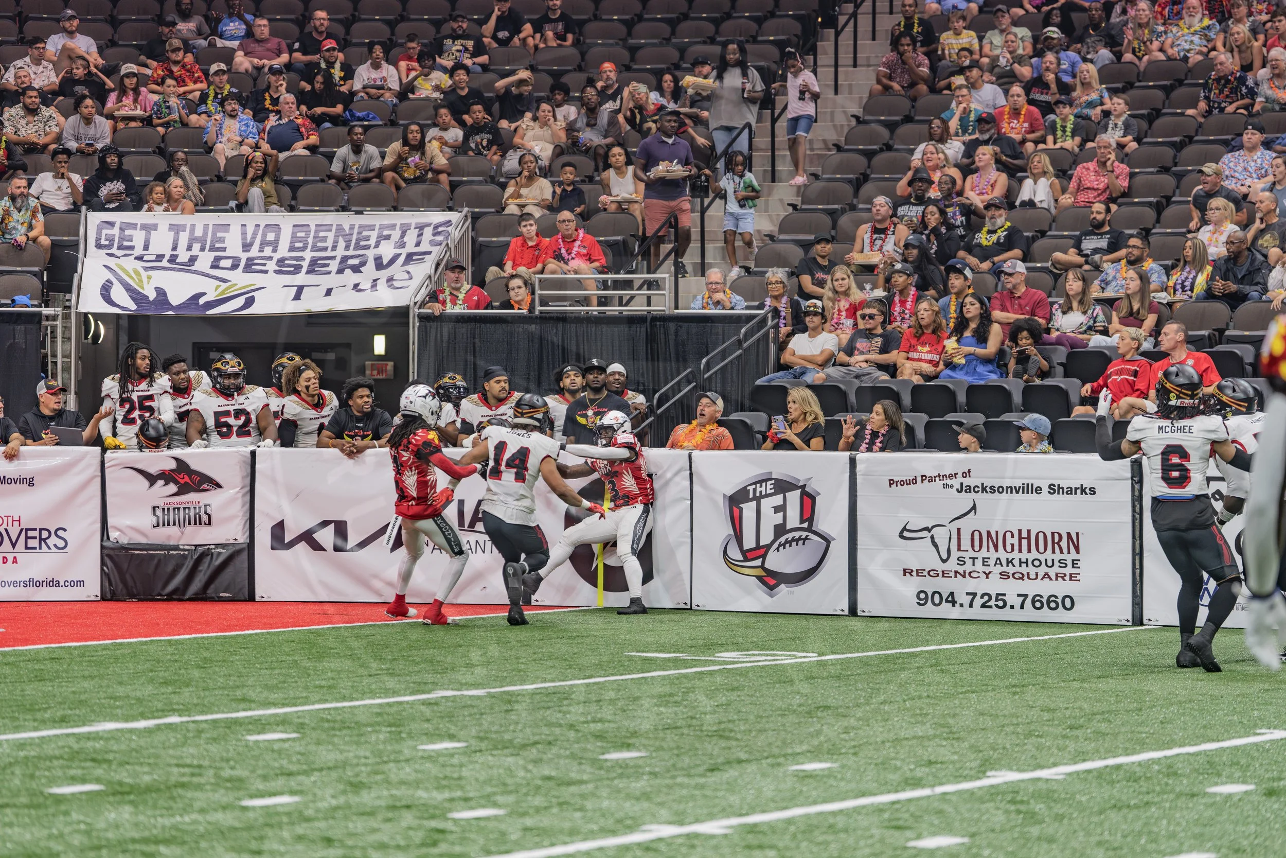 Sharks 260718-28.JPG