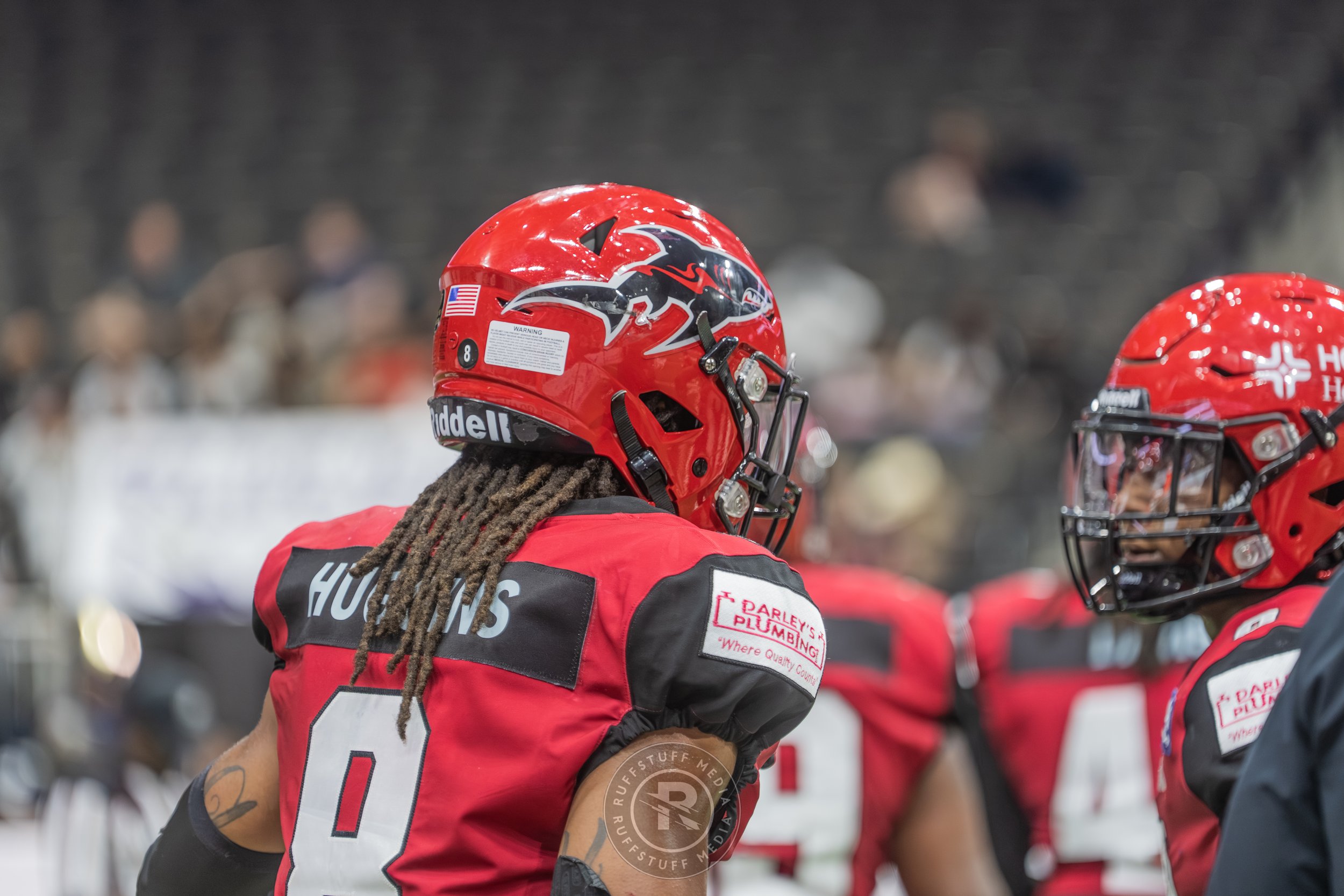 Sharks 260417-235.JPG