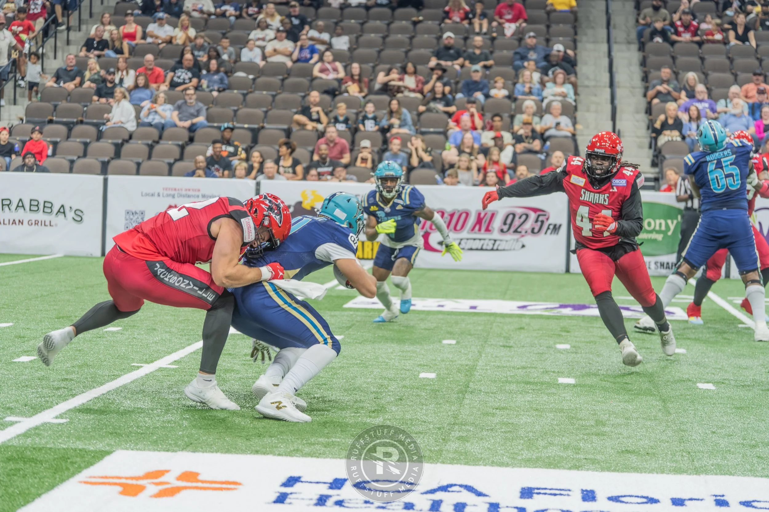 Sharks 260417-120.JPG