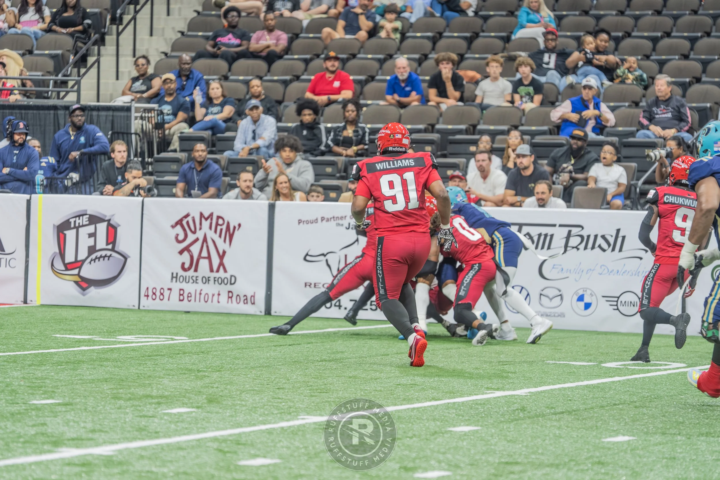 Sharks 260417-188.JPG