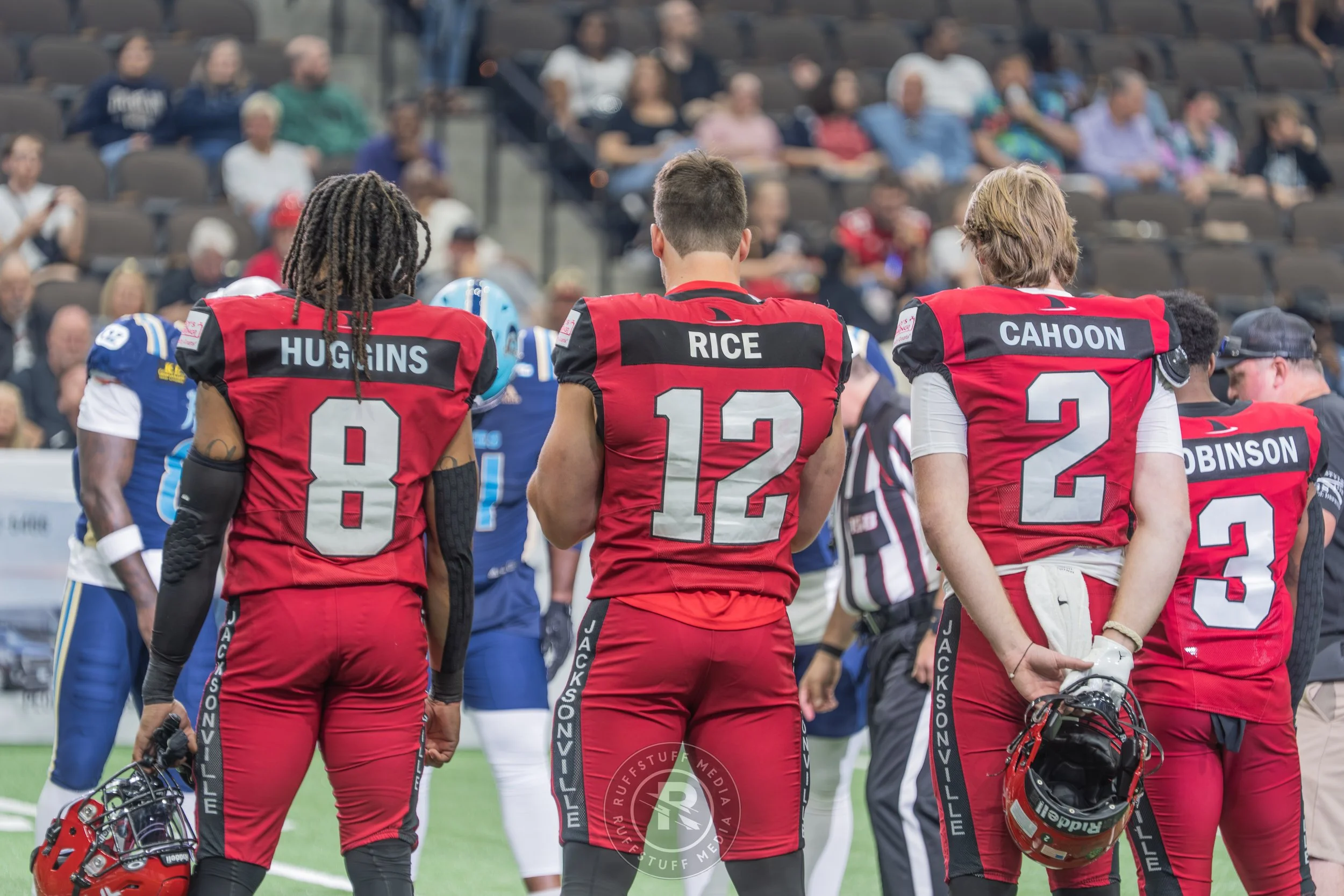 Sharks 260417-88.JPG