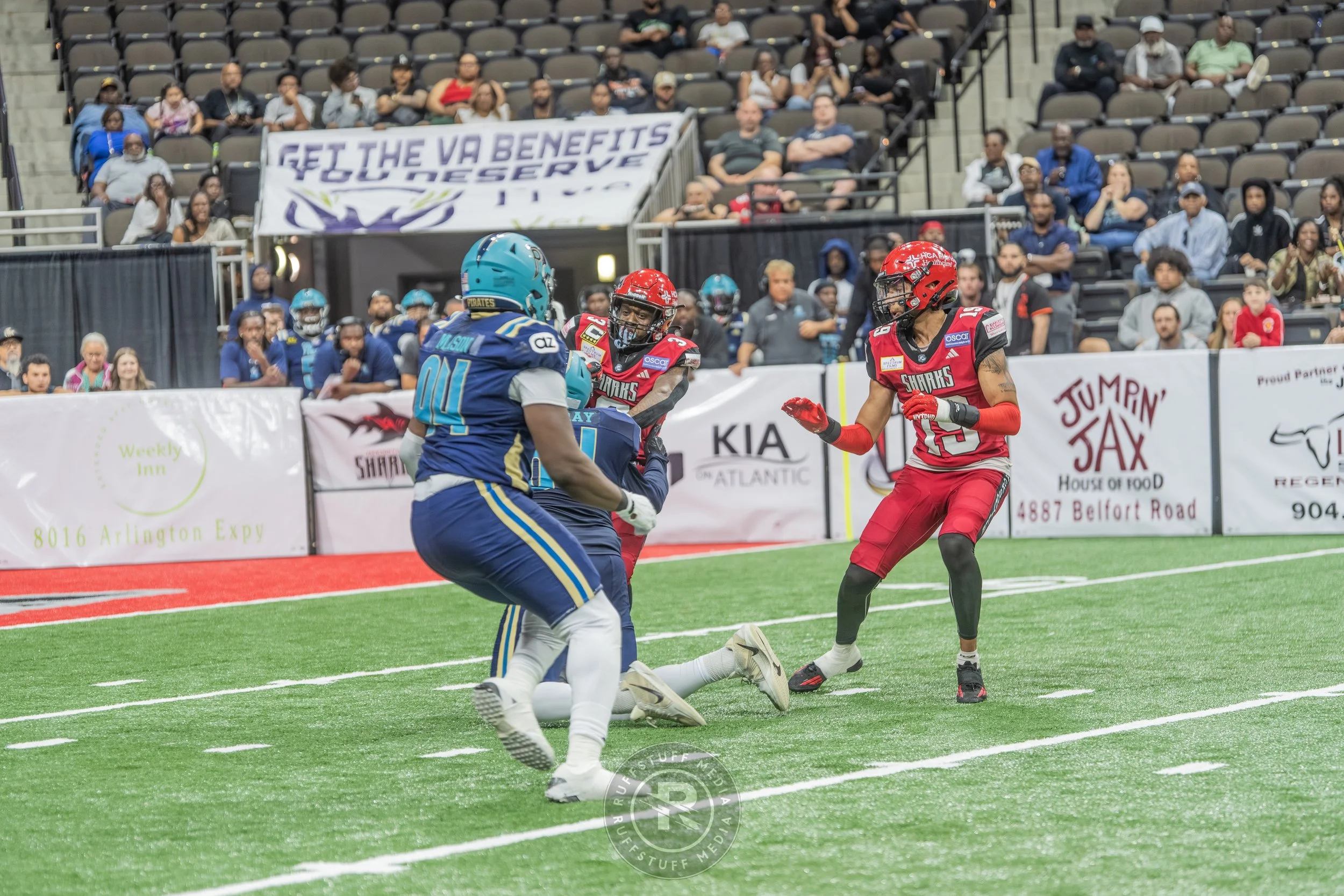 Sharks 260417-464_resize.JPG