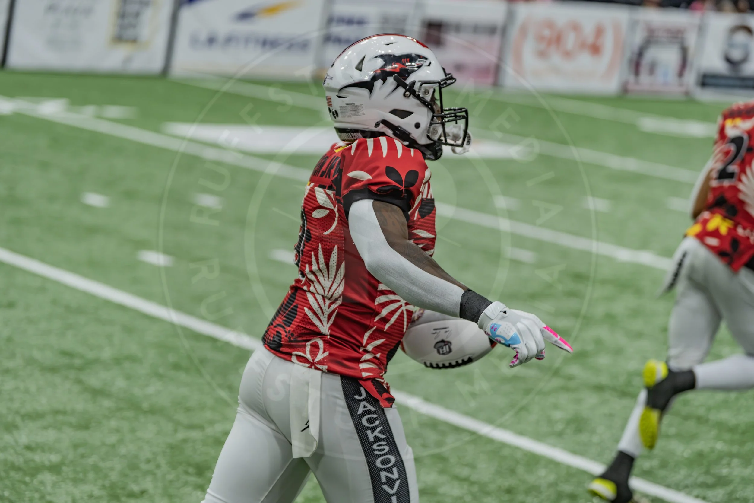 Sharks 260718-38.JPG