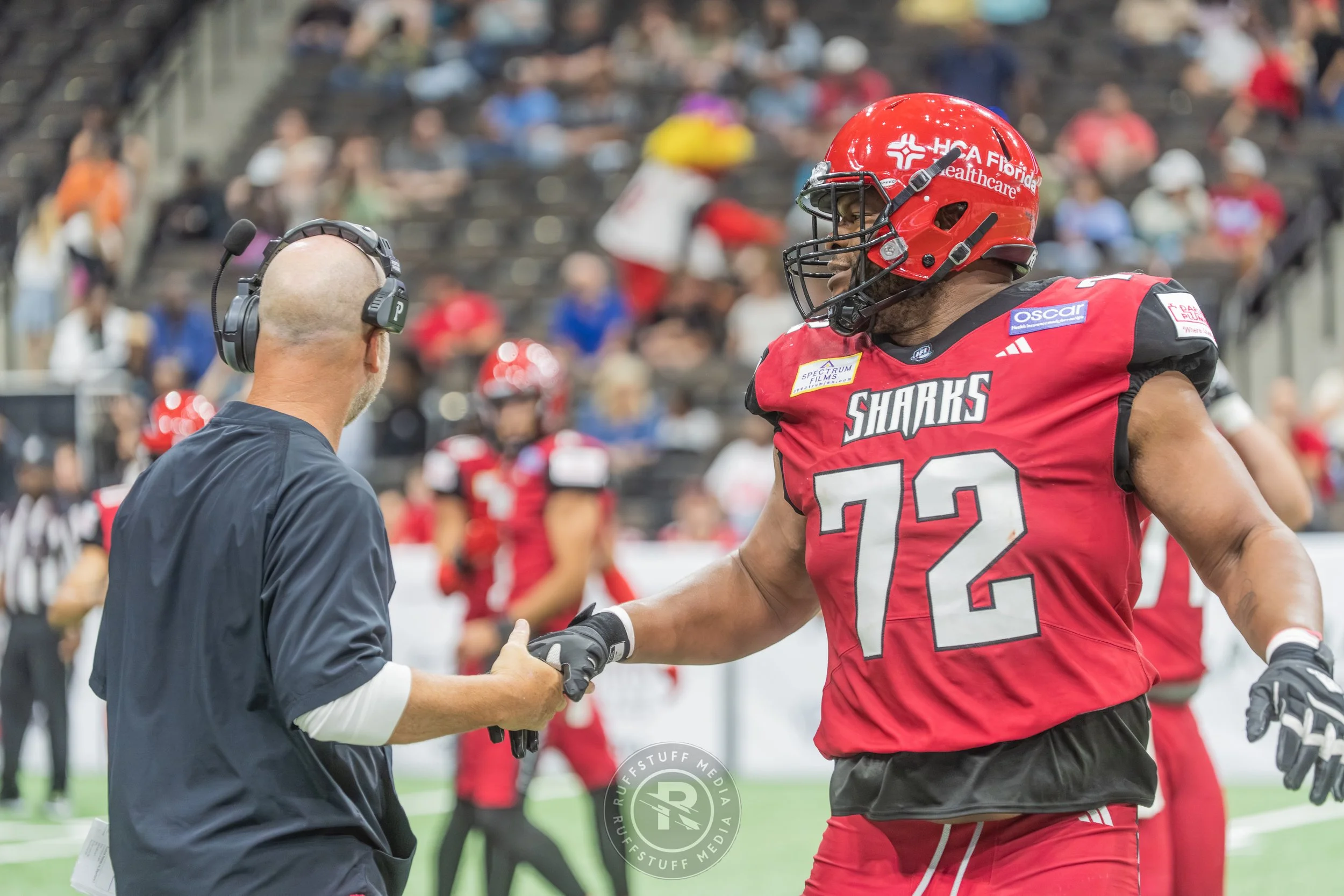 Sharks 260417-391.JPG