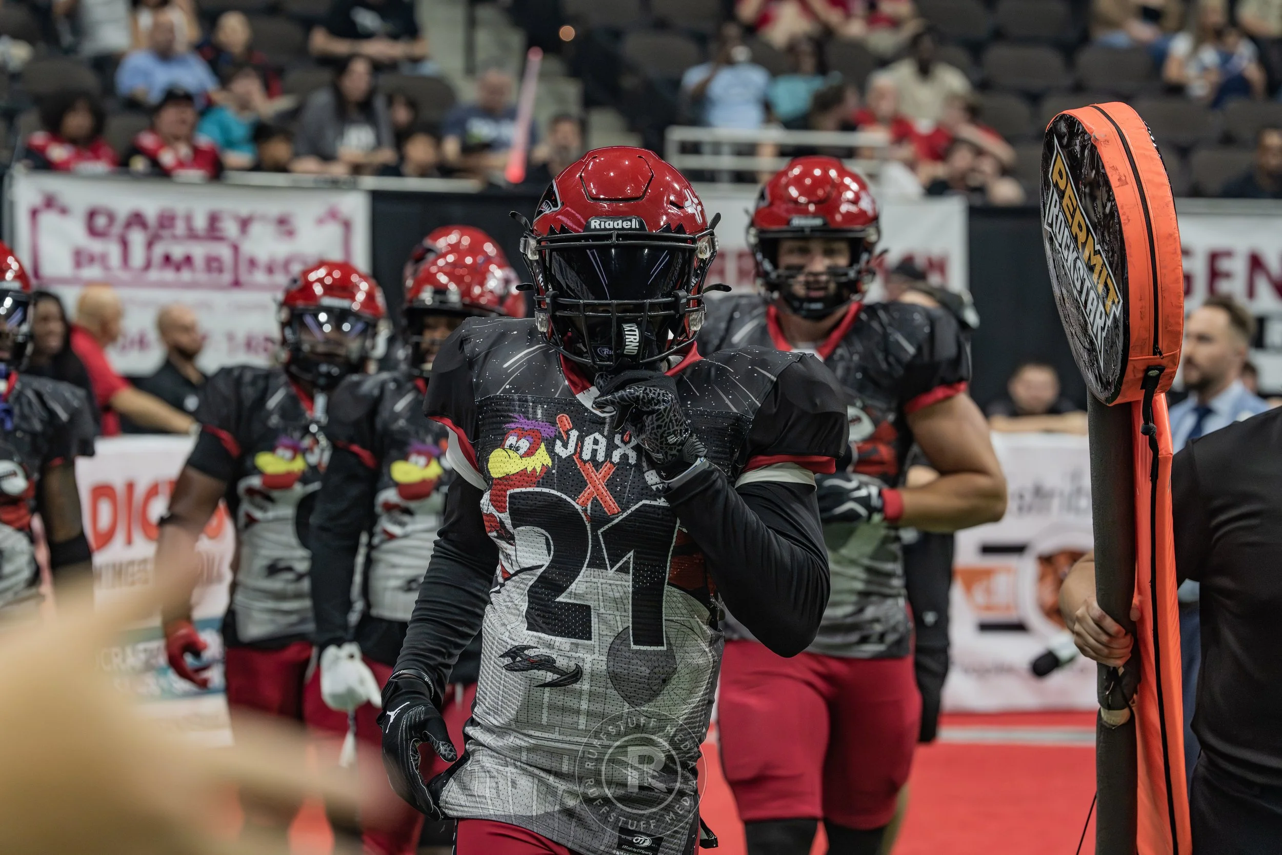 Sharks 260530-168.JPG