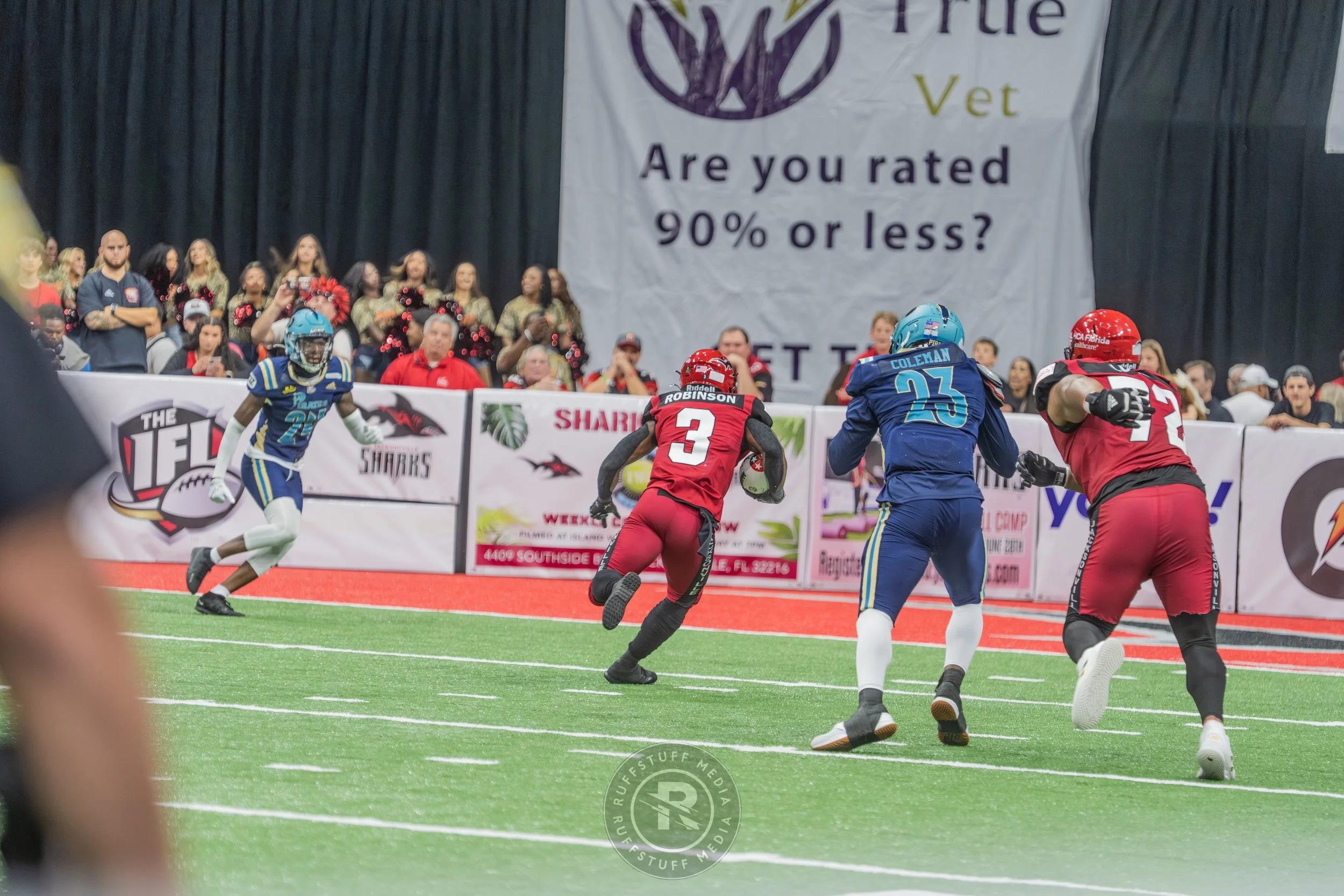 Sharks 260417-536_resize.JPG