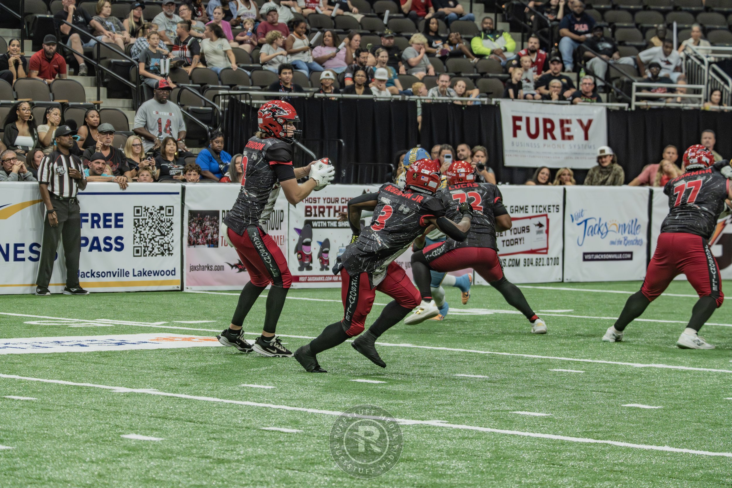 Sharks 260530-647.JPG