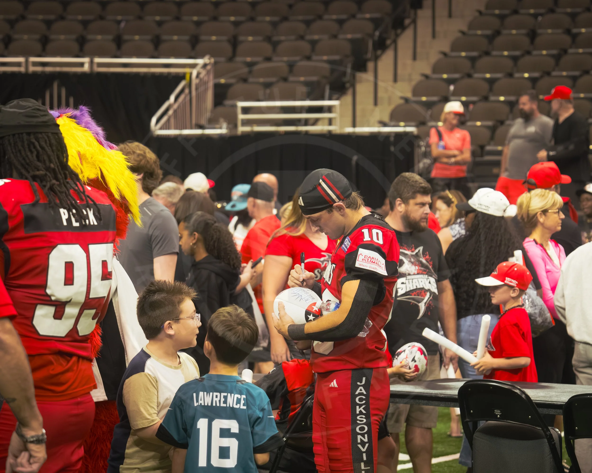 Sharks 260801-167.JPG