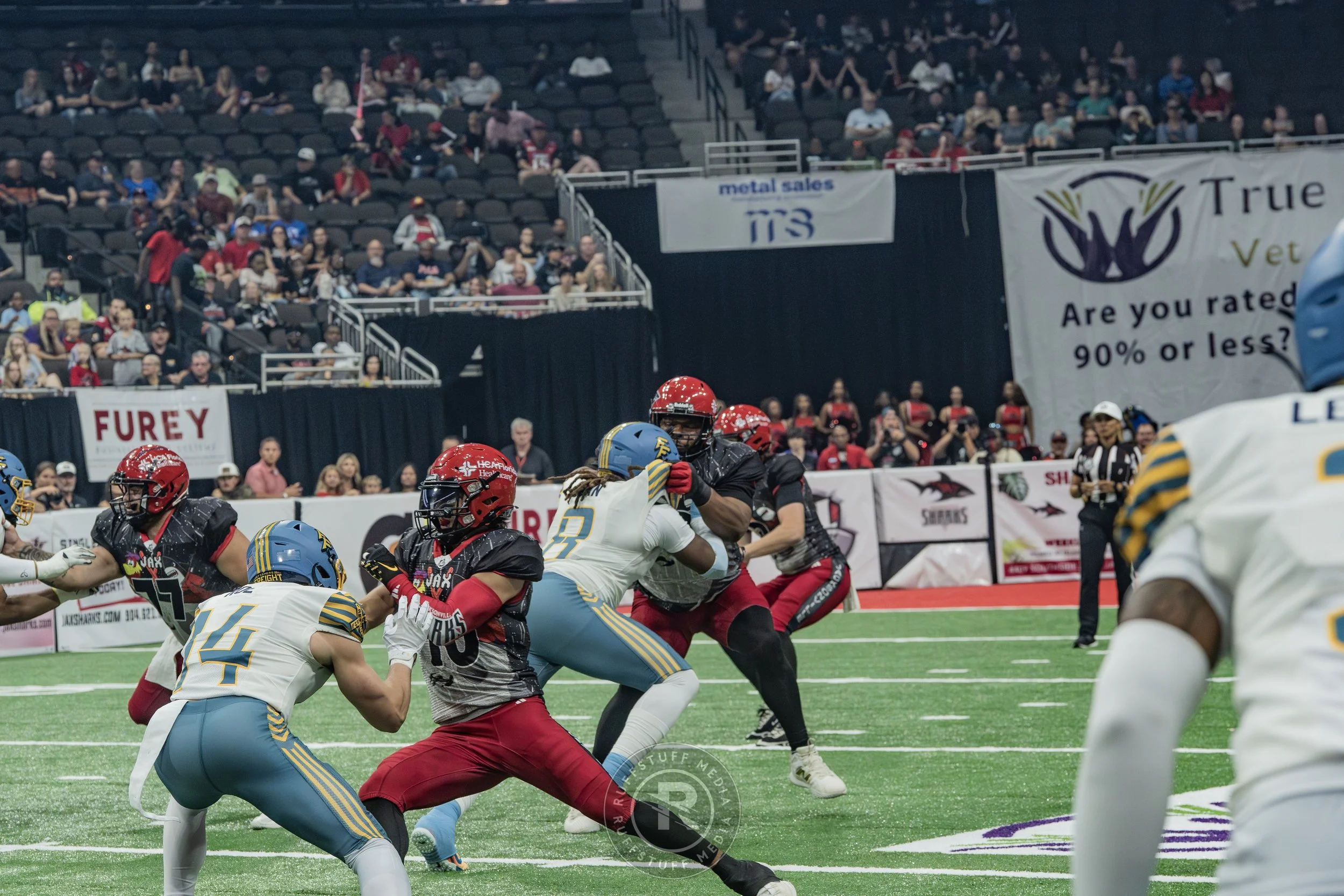 Sharks 260530-131.JPG