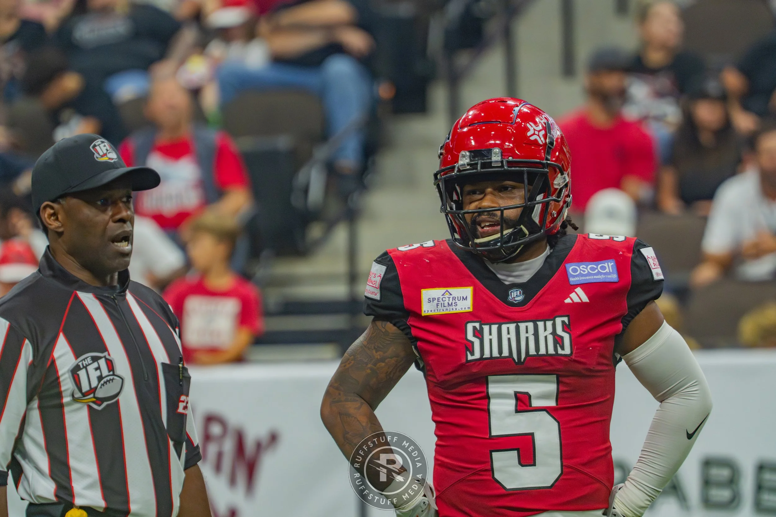 Sharks 260606-177.jpg