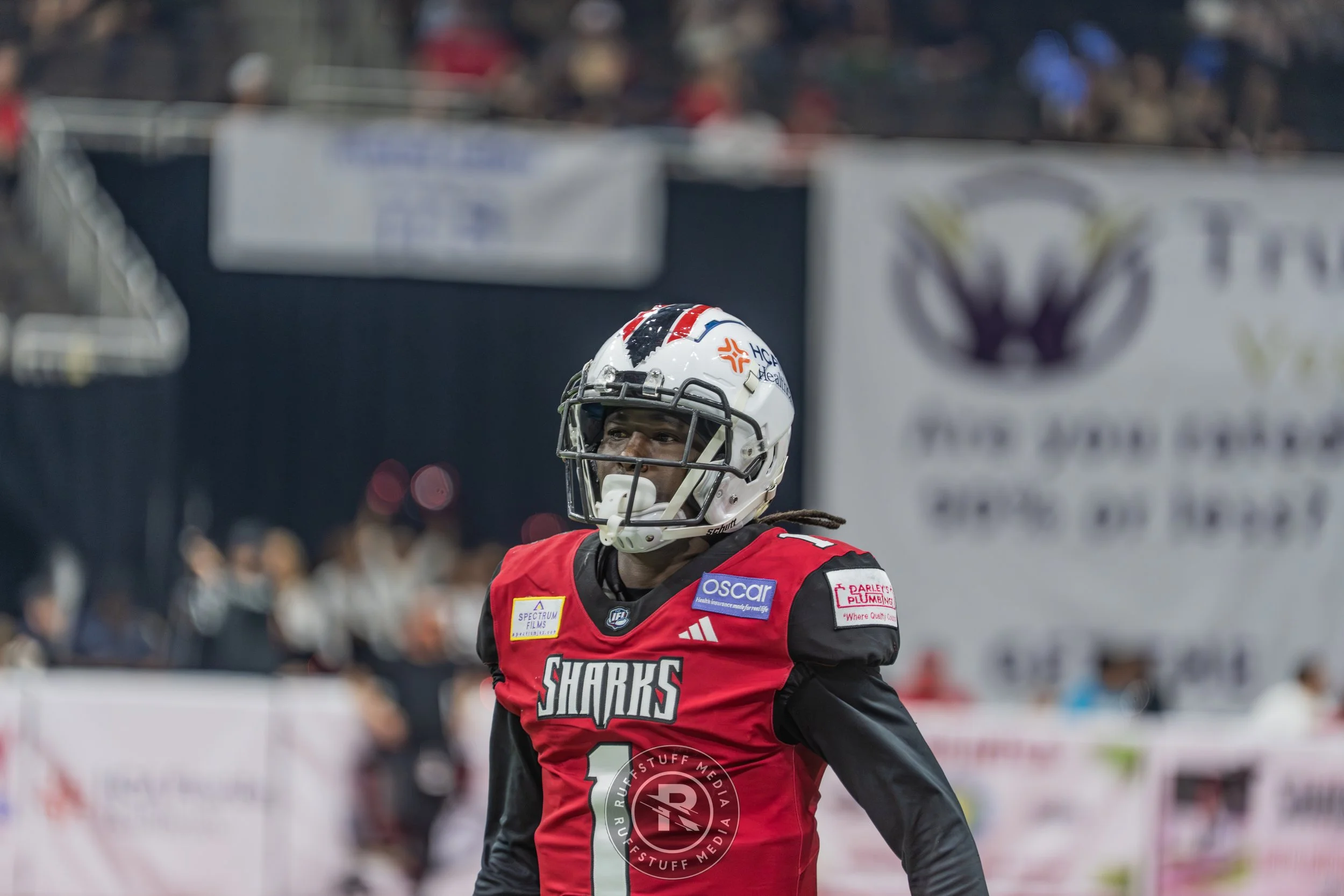 Sharks 260502-244.JPG