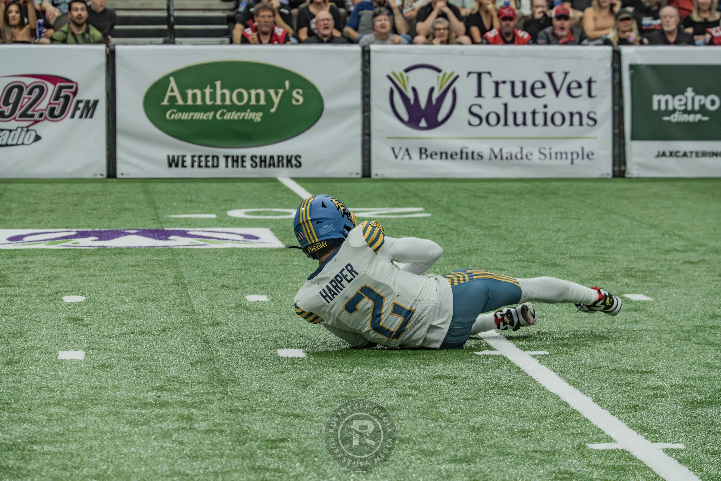 Sharks 260530-542.JPG