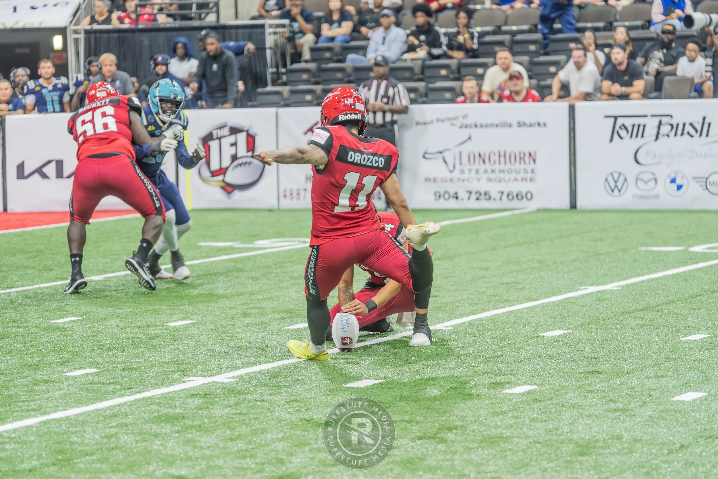 Sharks 260417-150.JPG