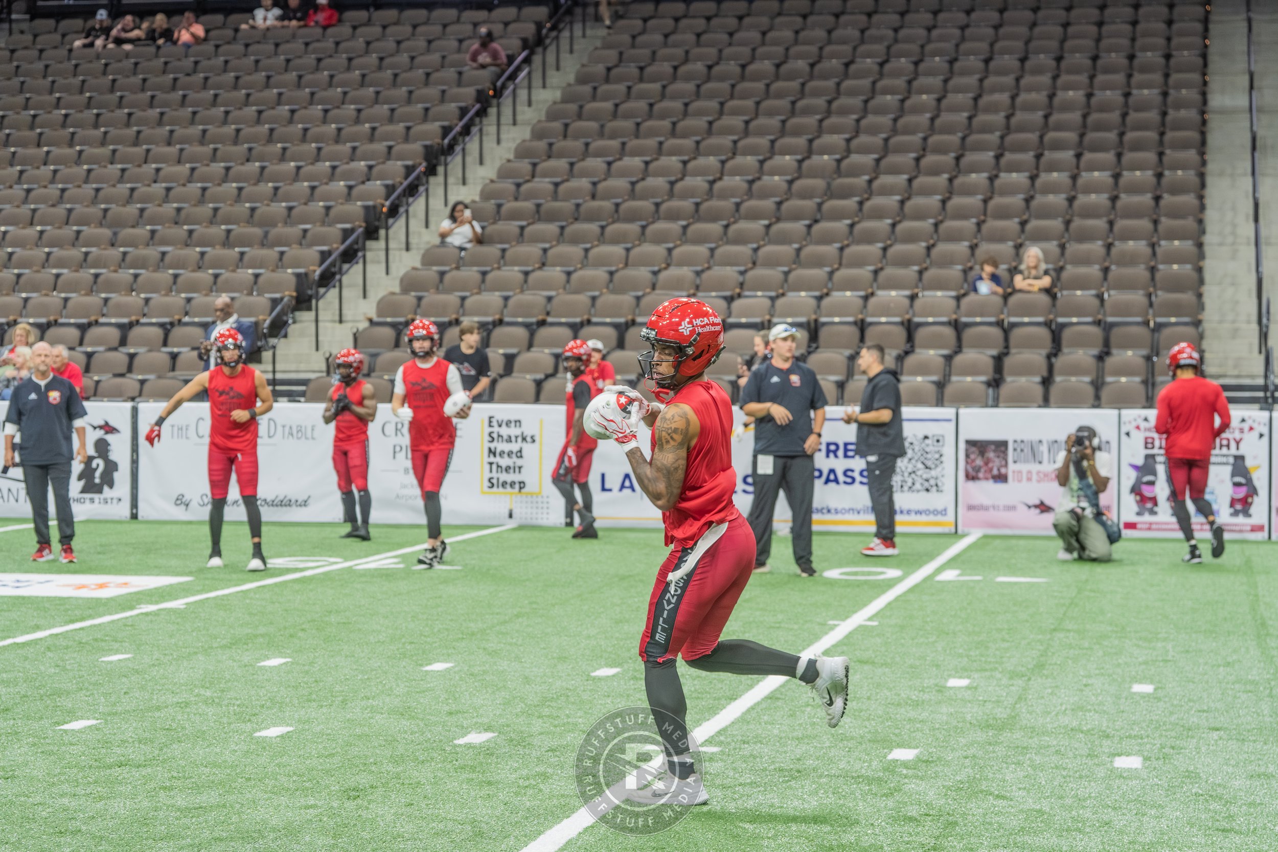 Sharks 260417-69_resize.JPG