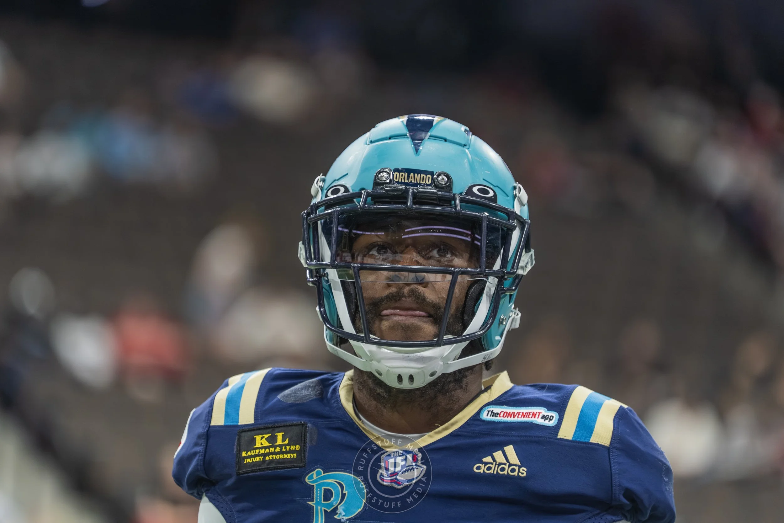 Sharks 260417-524.JPG