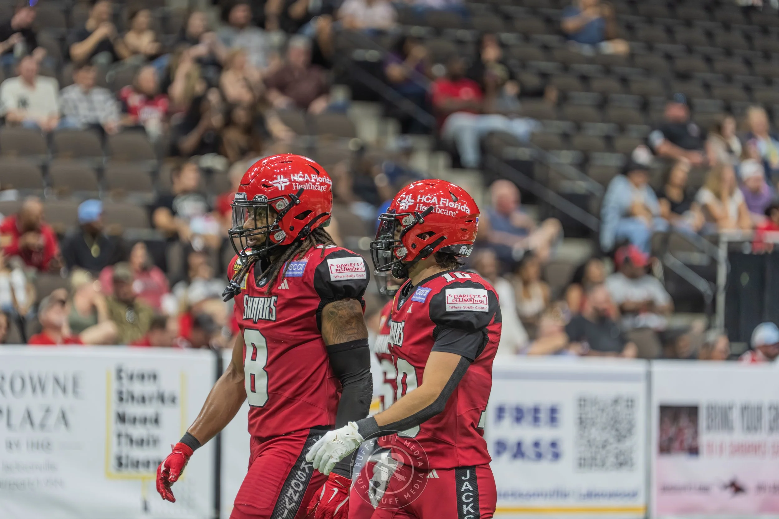 Sharks 260417-362.JPG
