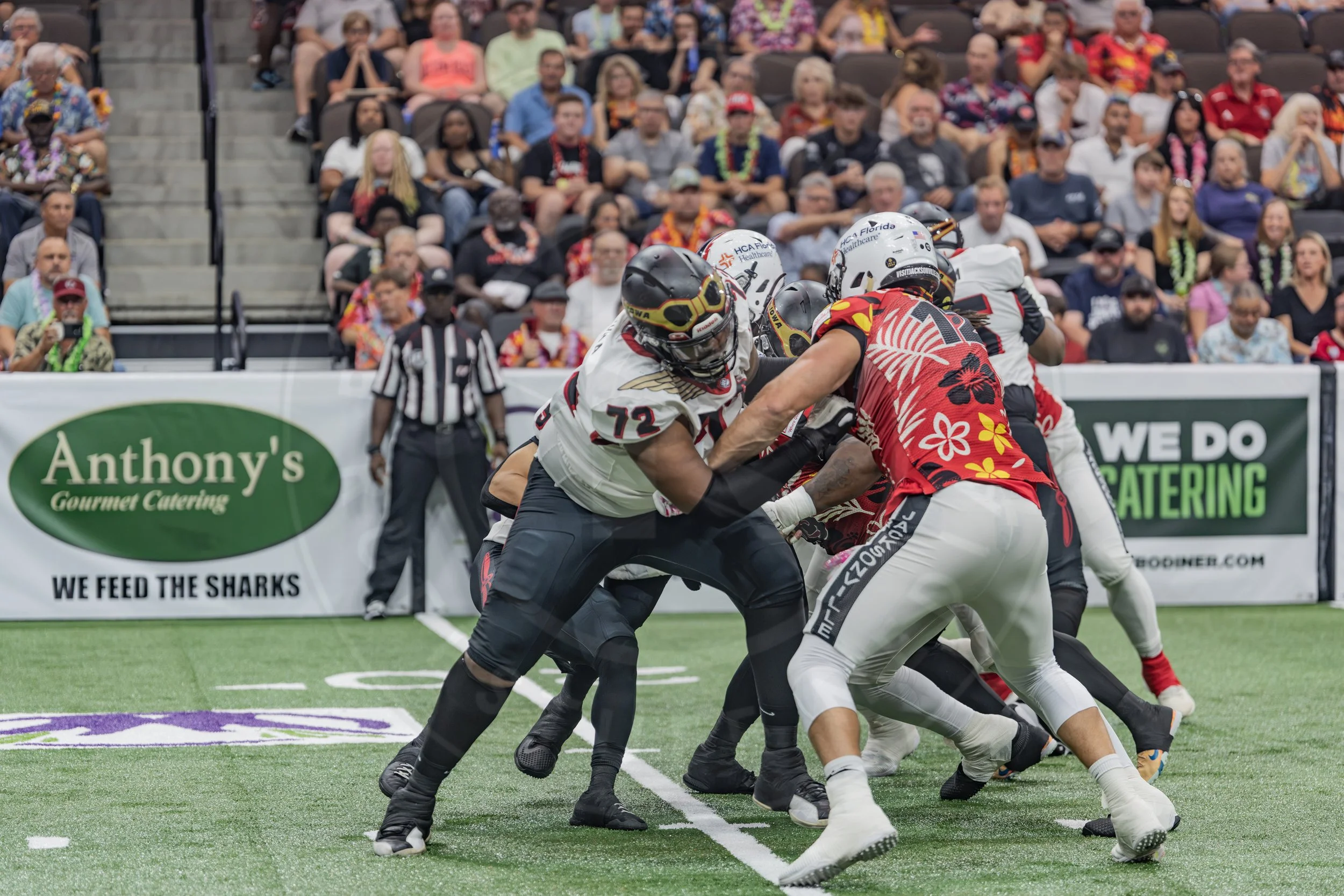 Sharks 260718-47.JPG