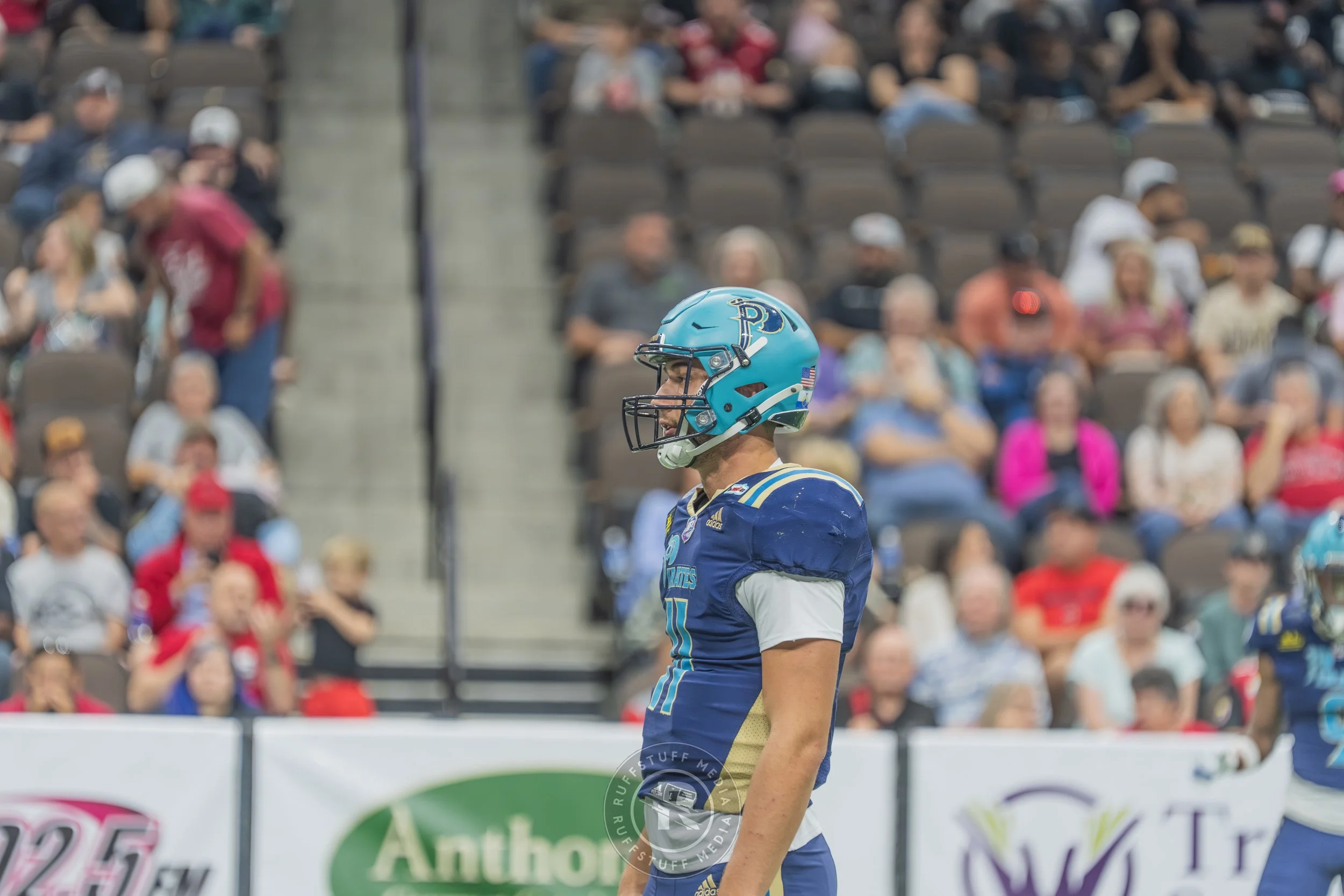 Sharks 260417-185.JPG