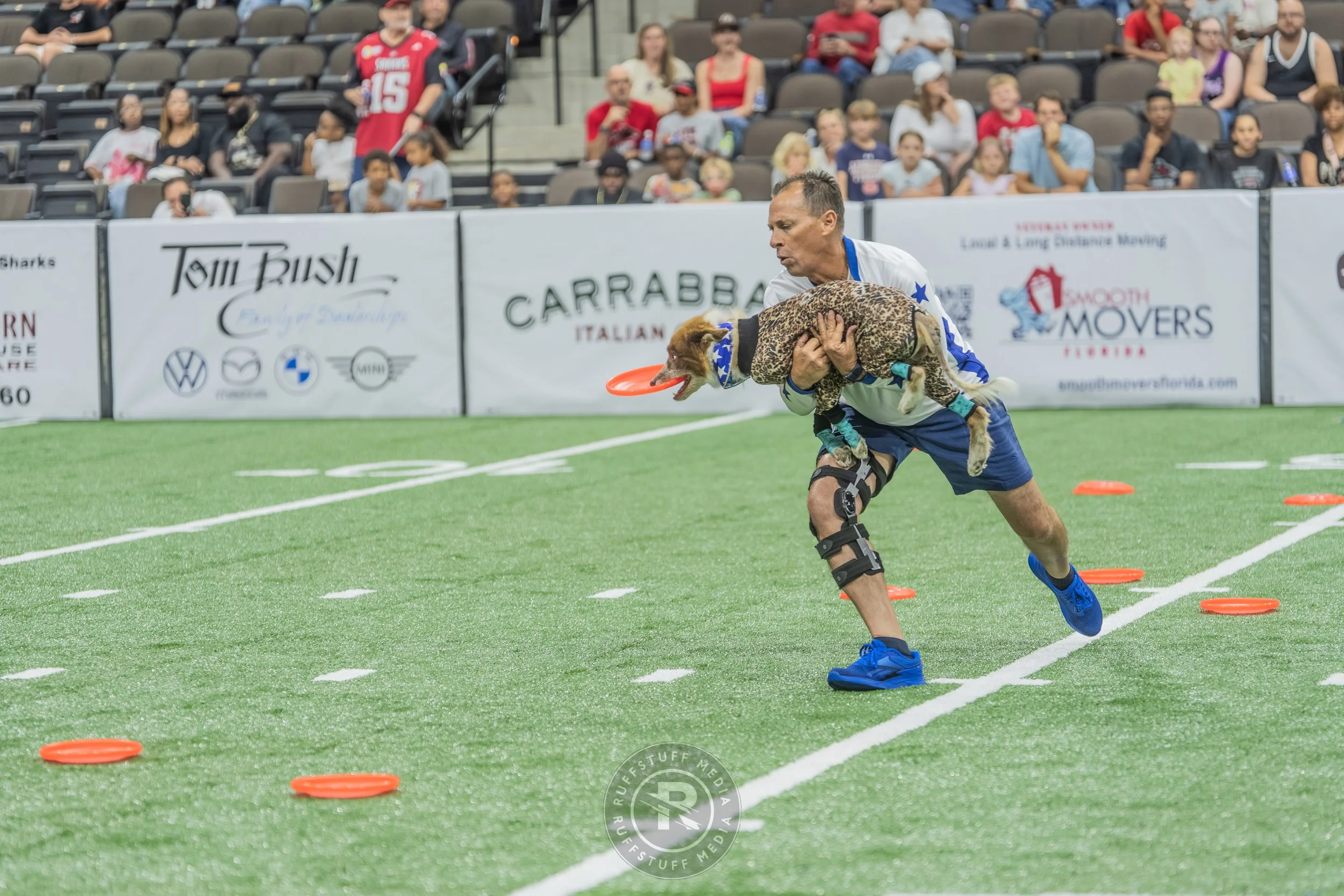 Sharks 260417-299.JPG