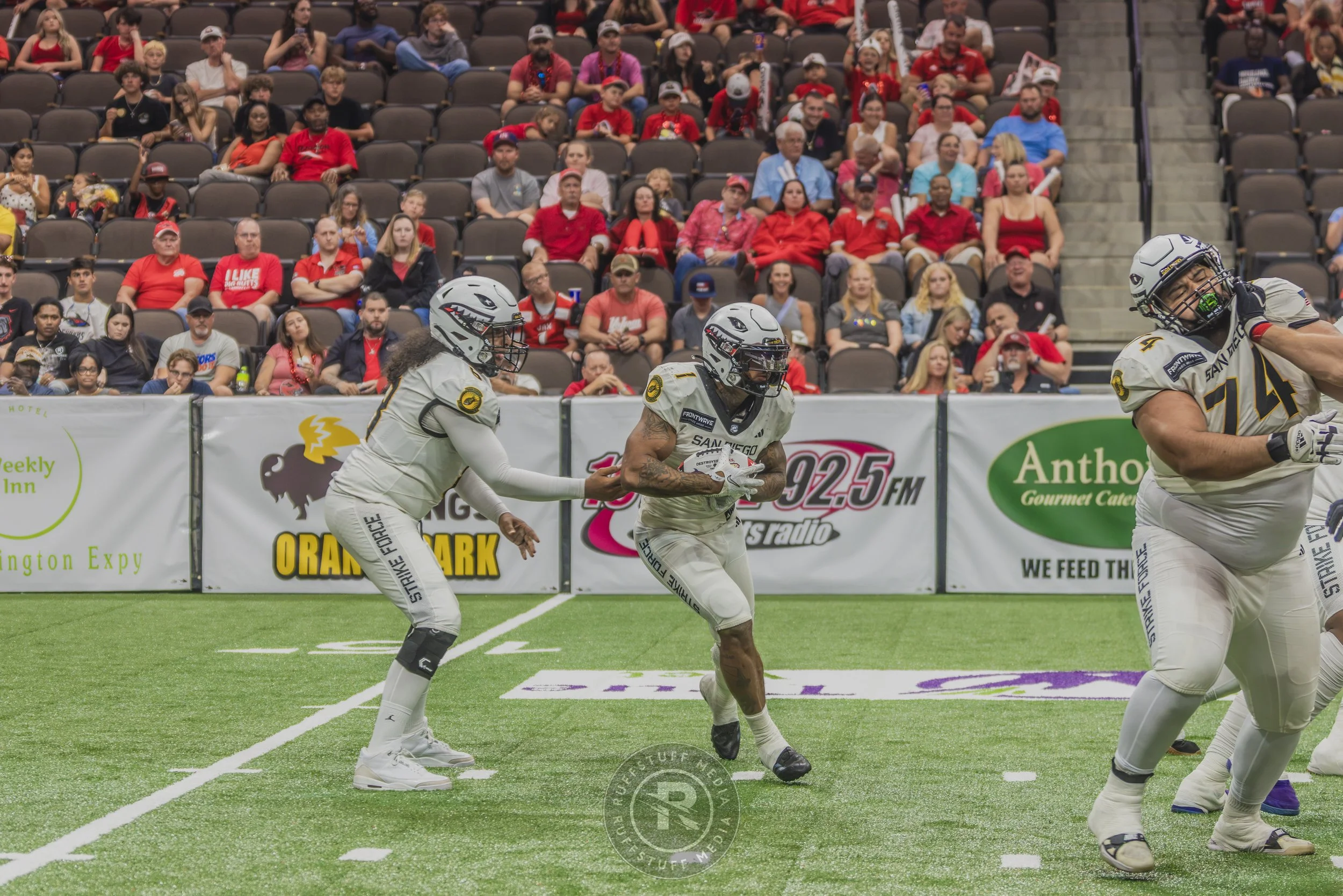 Sharks 260628-433.JPG