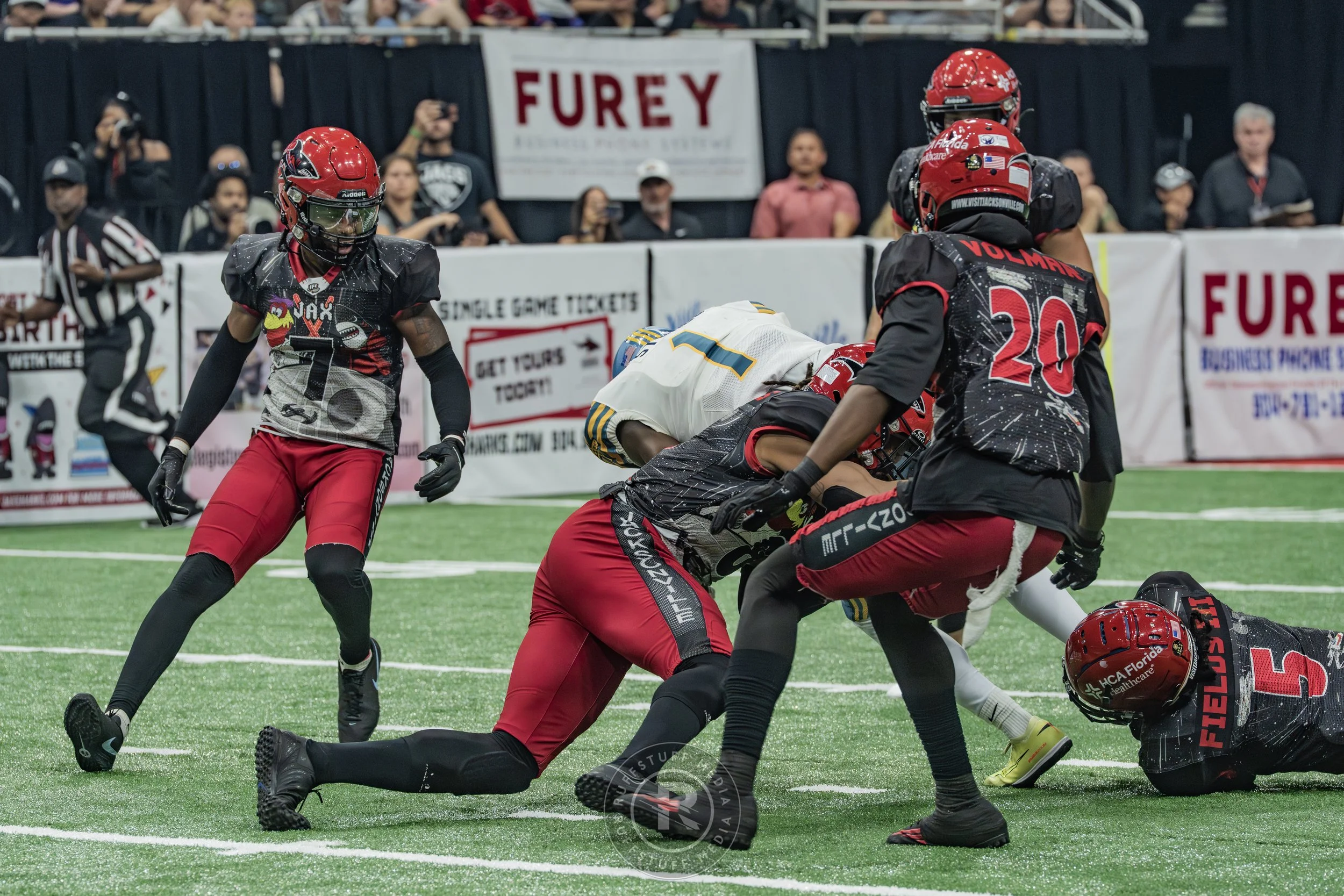 Sharks 260530-270.JPG
