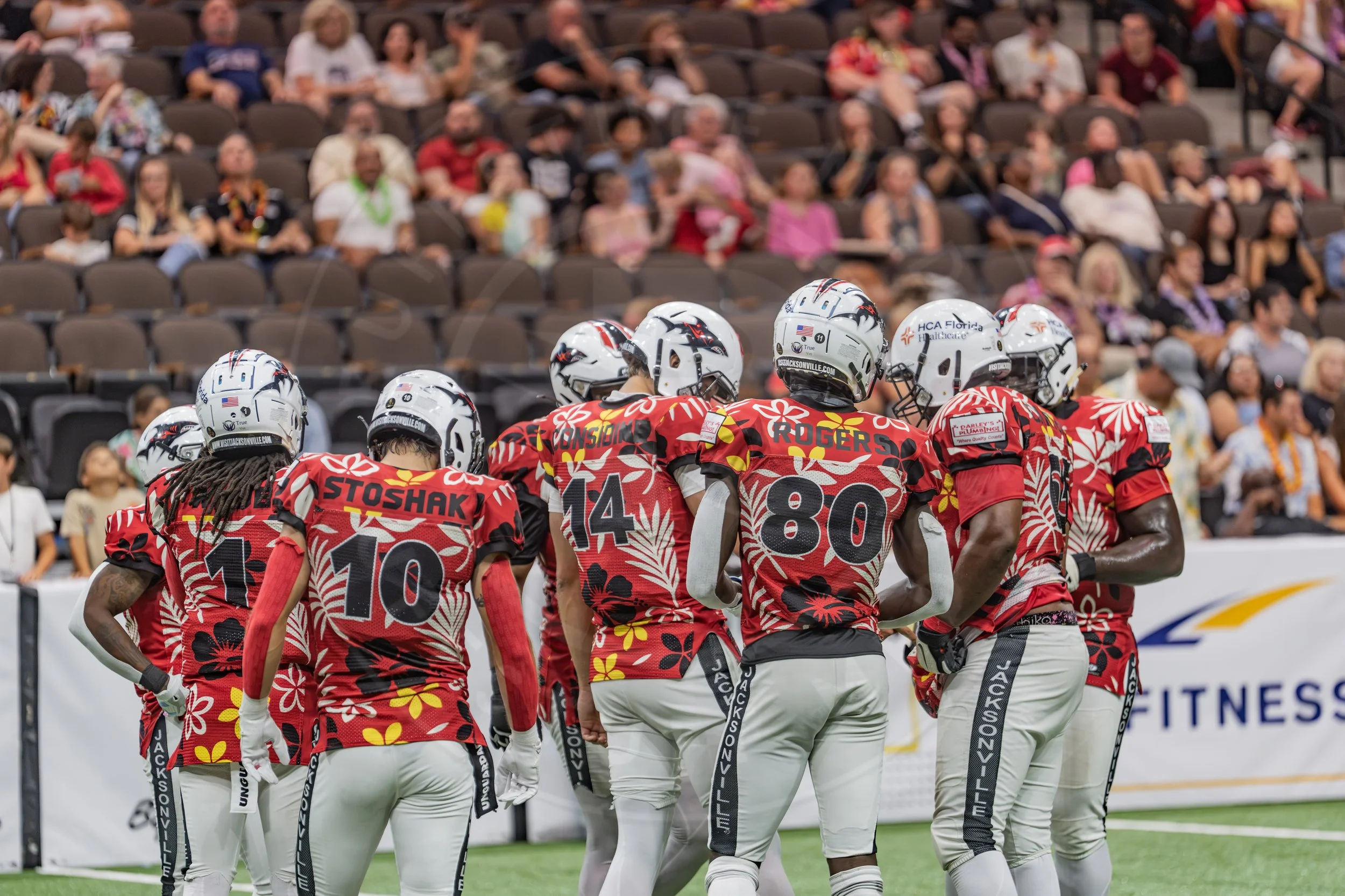 Sharks 260718-231.JPG