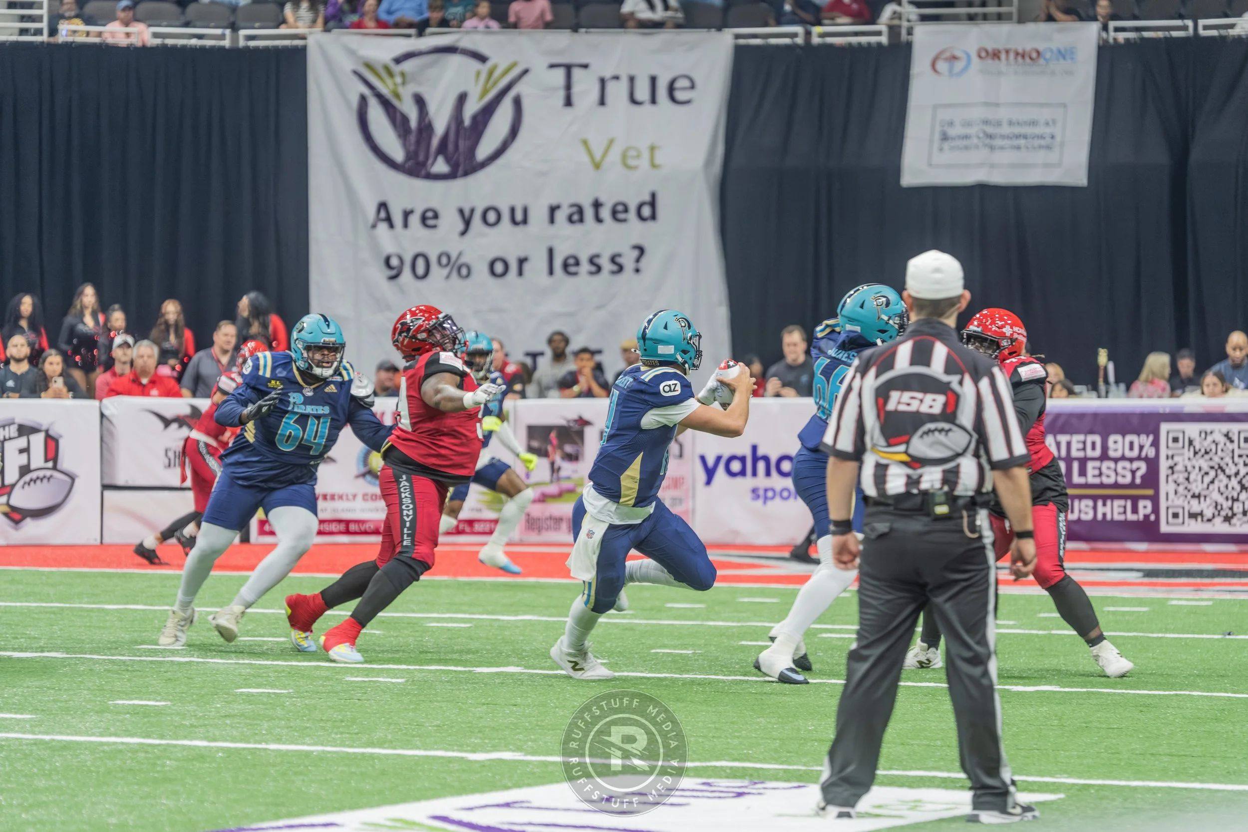 Sharks 260417-137.JPG